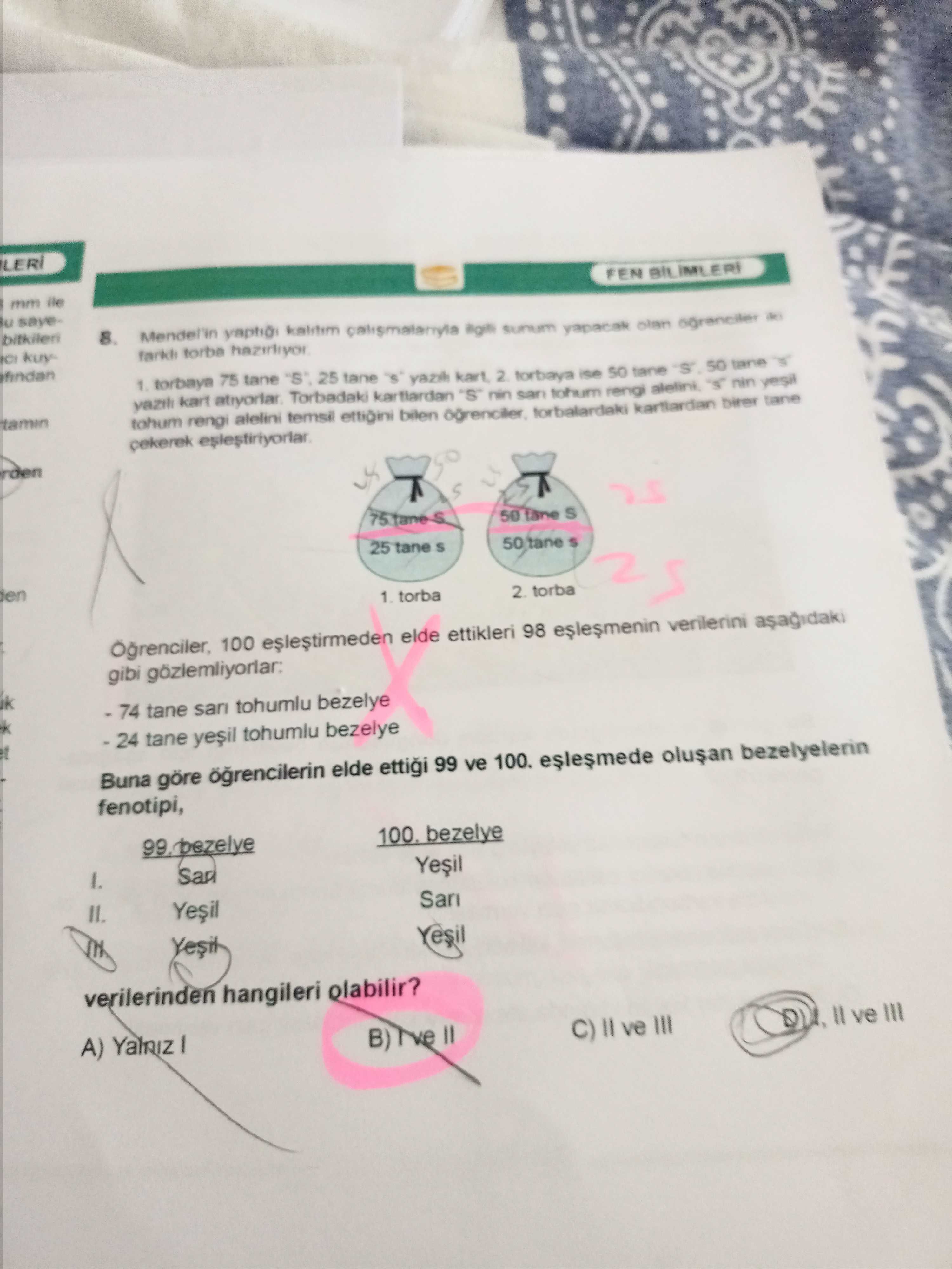 Mendel'in yaptığı kalıtım çalışmalarıyla ilgili sunum yapacak olan öğrenciler iki farklı torba