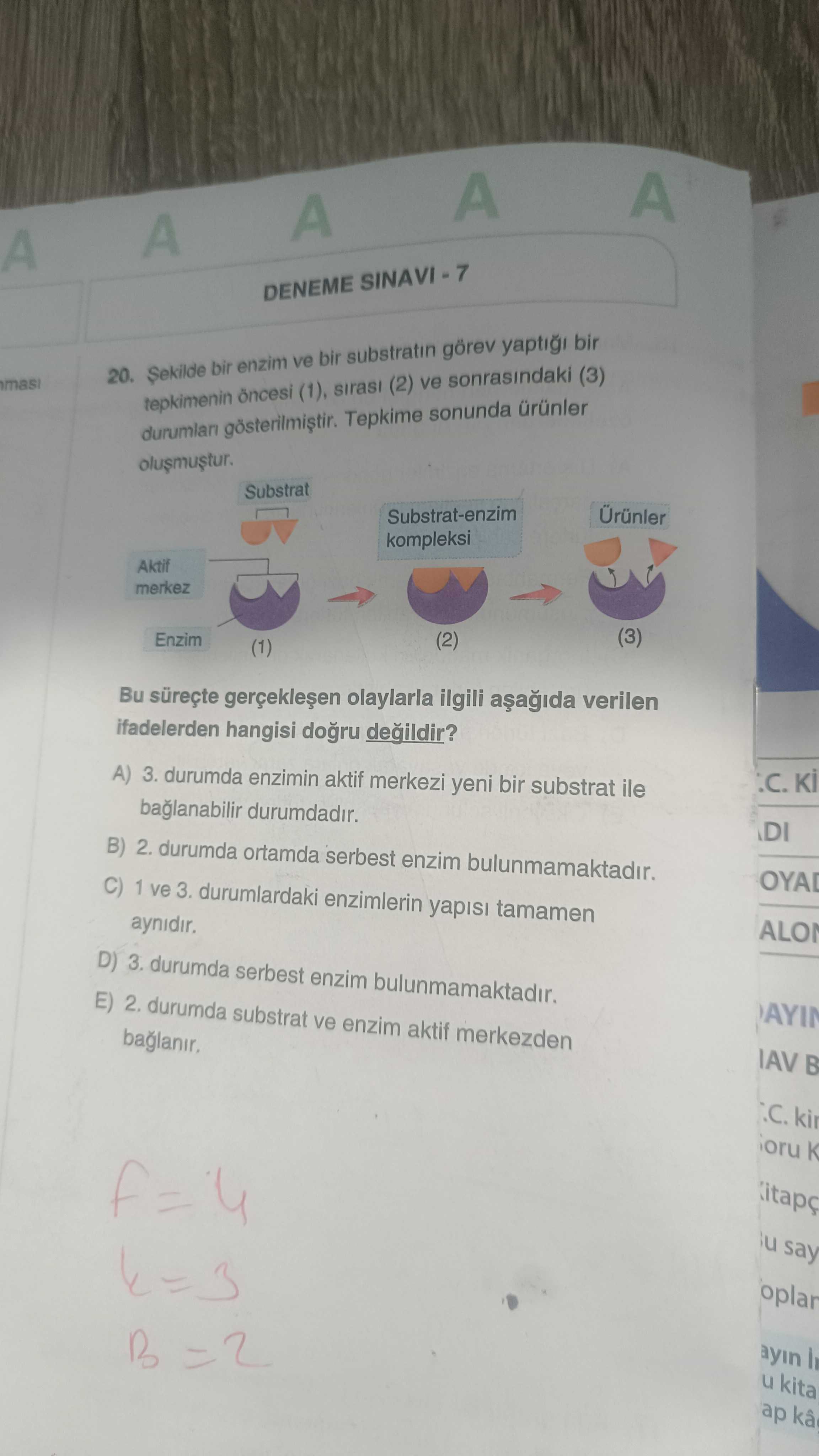 Şekilde bir enzim ve bir substratın görev yaptığı bir tepkimenin öncesi (1), sırası (2) ve