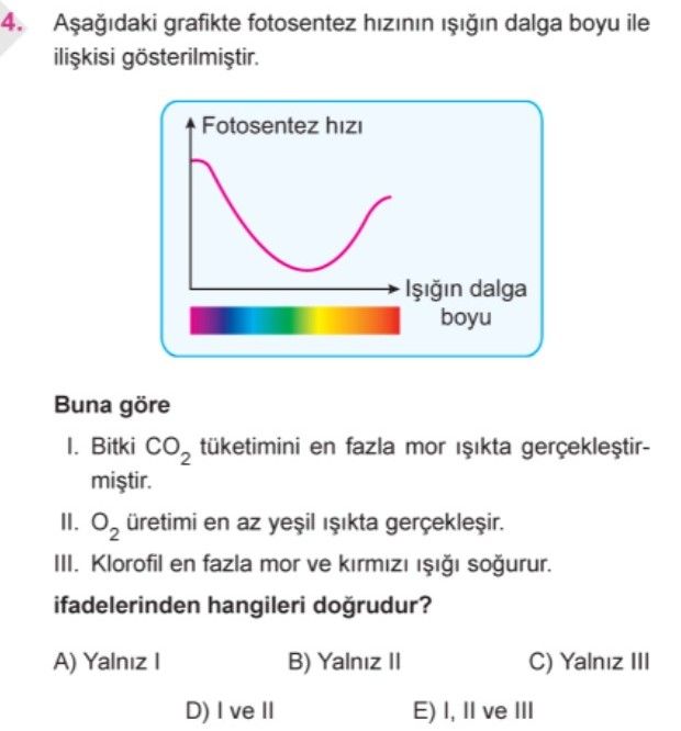 Aşağıdaki grafikte fotosentez hızının ışığın dalga boyu ile ilişkisi gösterilmiştir. Buna göre I