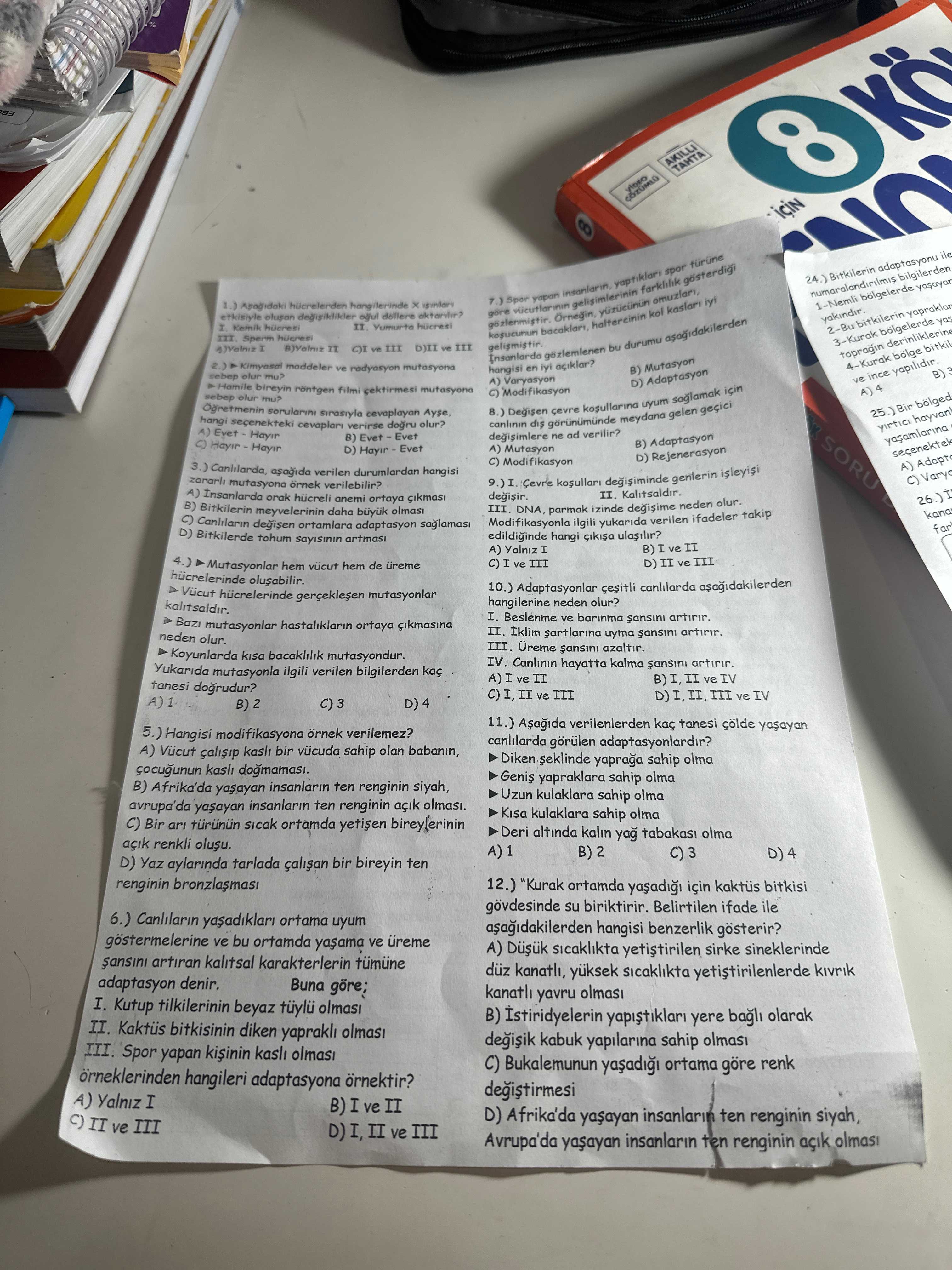 ) Aşağıdaki hücrelerden hangilerinde X gonları eşitsizle oluşan dağınıklıkla eşit dölere dönüştür? ►