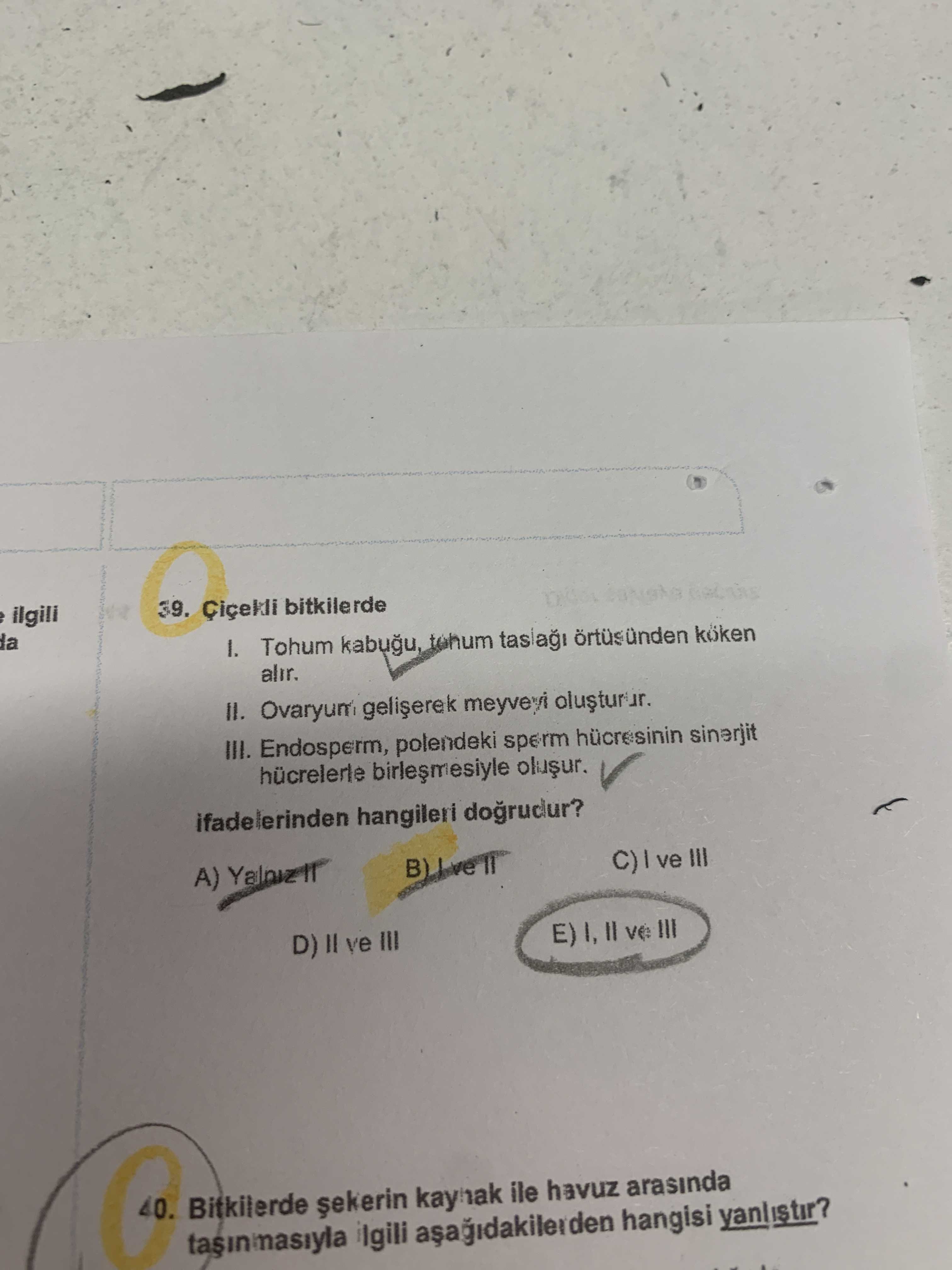 Çiçekli bitkilerde I. Tohum kabuğu, tohum taslağı örtüsünden köken alır. II. Ovaryum gelişerek