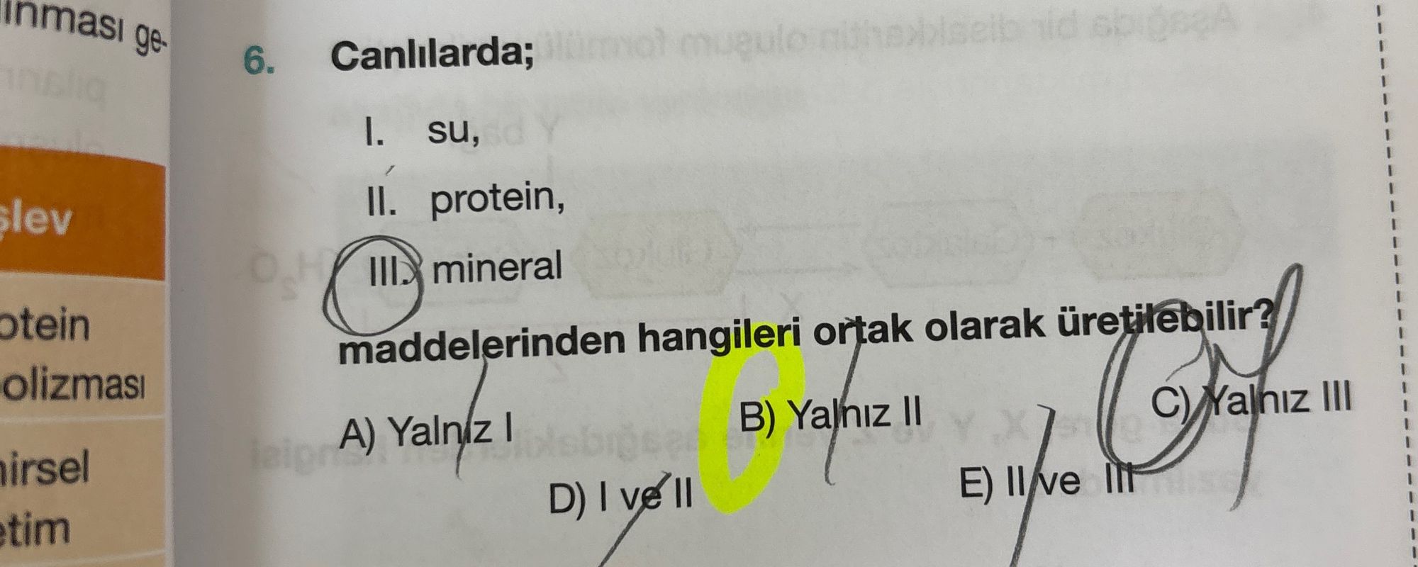 Canlılarda; I. su, II. protein, III. mineral maddelerinden hangileri ortak olarak üretilebilir?