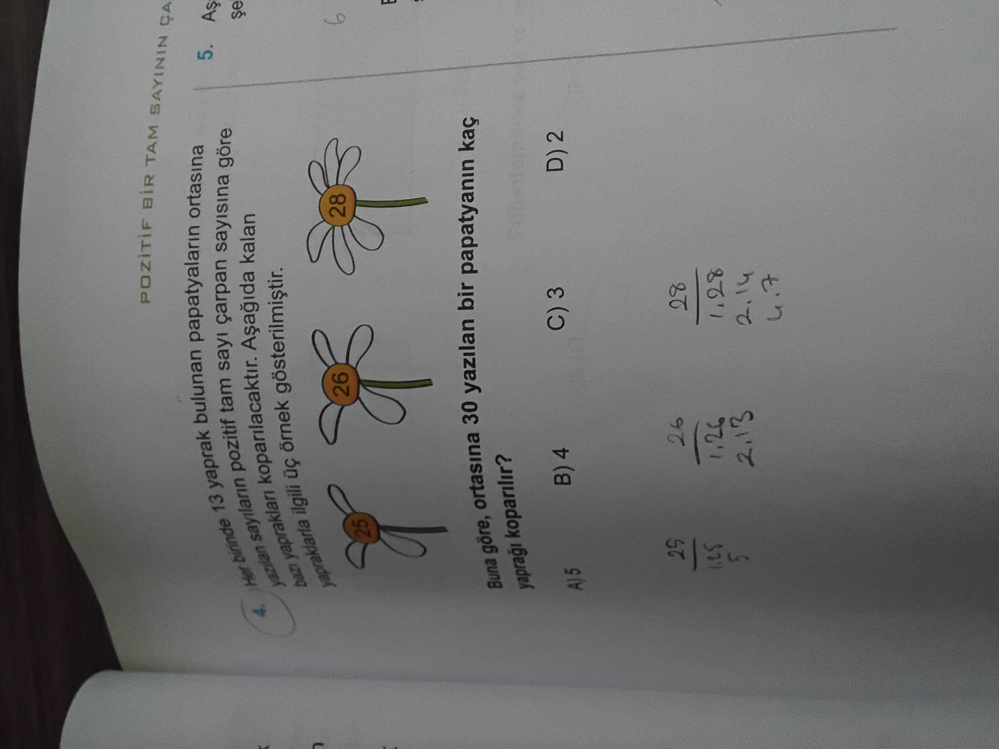 Matematik (8. Sınıf)