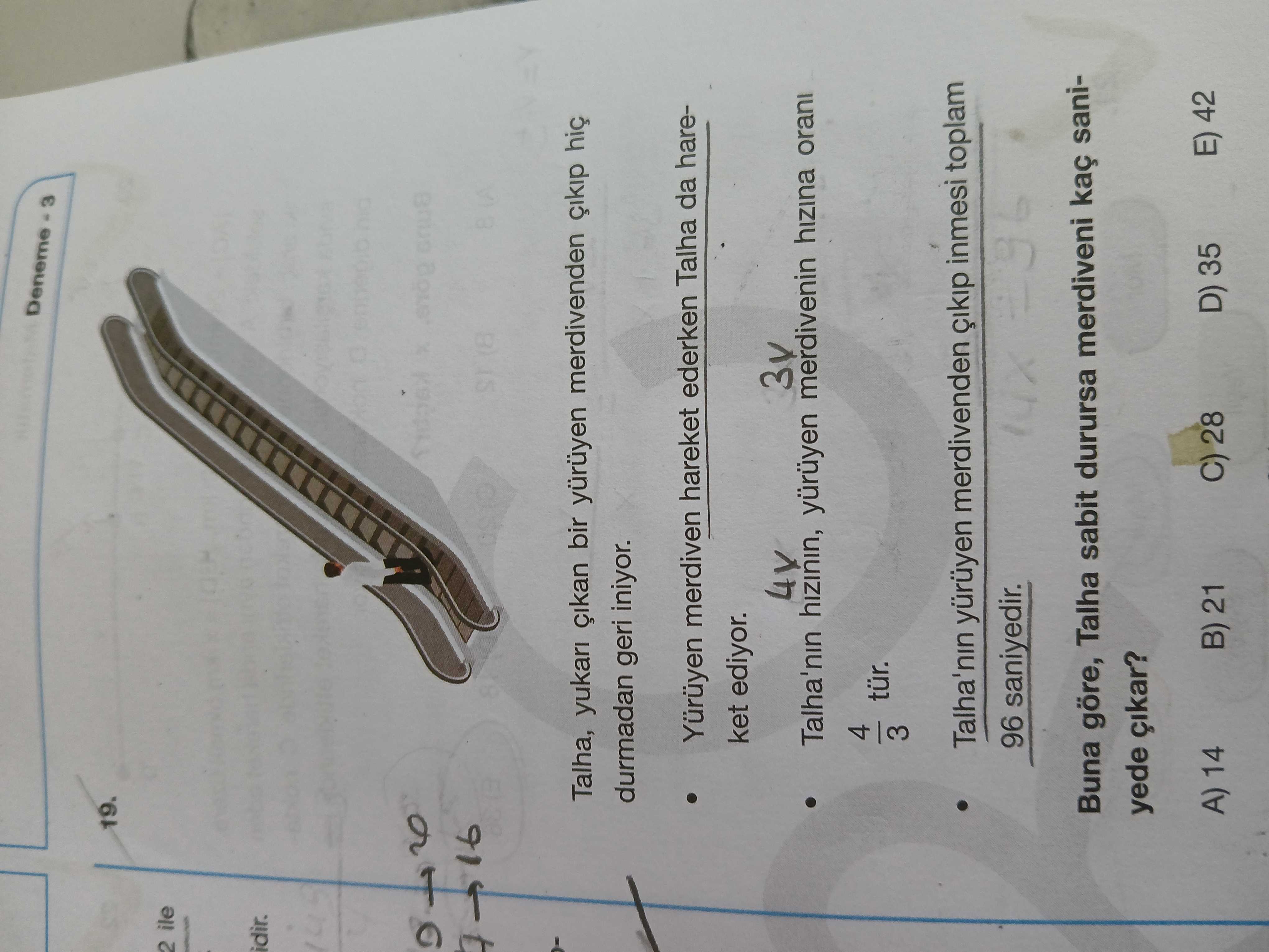 Matematik (11. Sınıf)