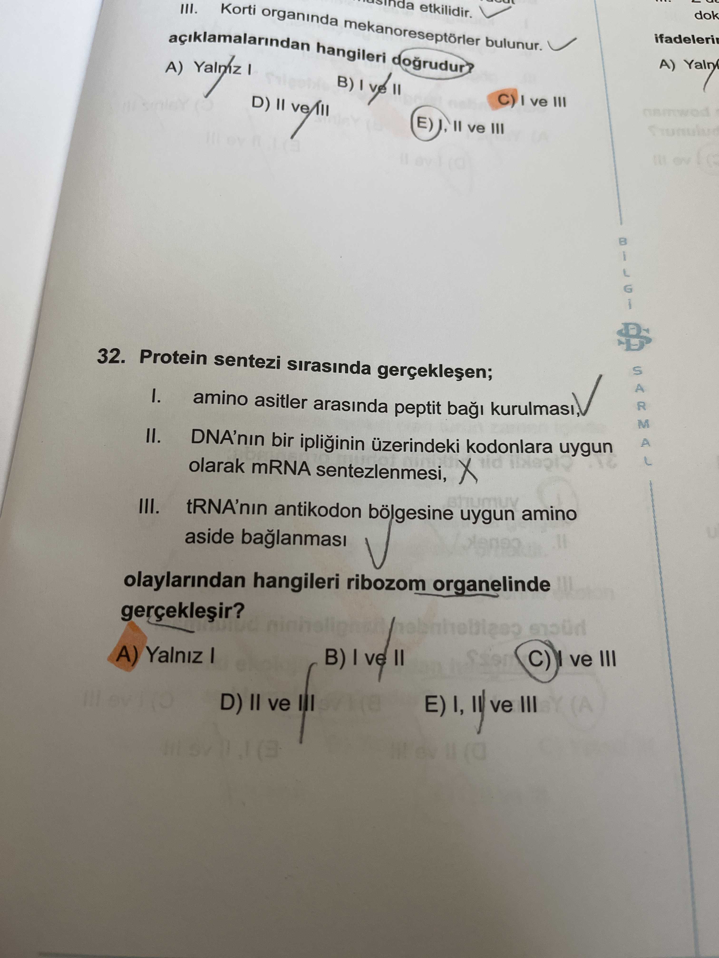 Protein sentezi sırasında gerçekleşen; I. amino asitler arasında peptit bağı kurulması, II. DNA'nın