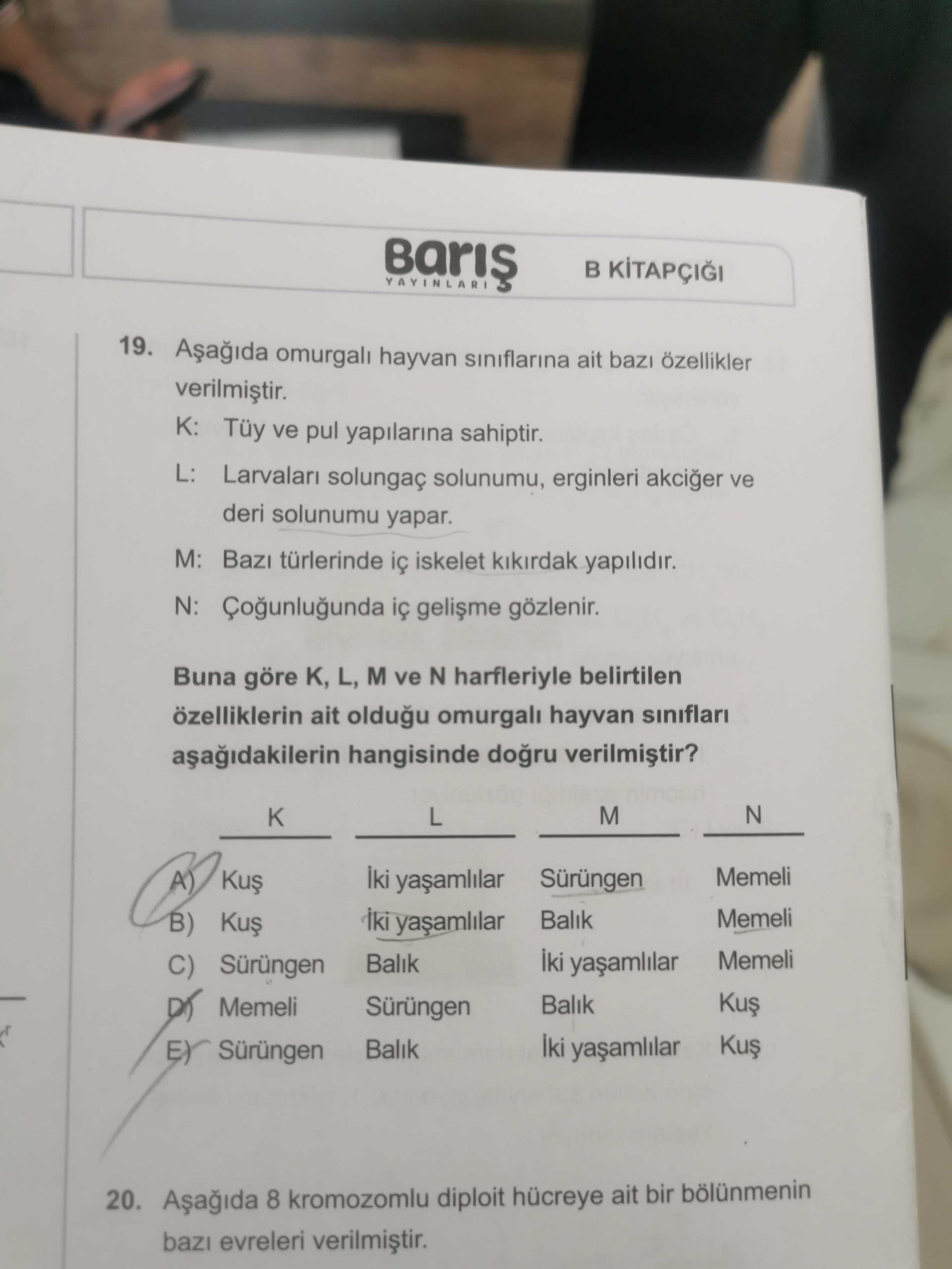 Aşağıda omurgalı hayvan sınıflarına ait bazı özellikler verilmiştir. K: Tüy ve pul yapılarına