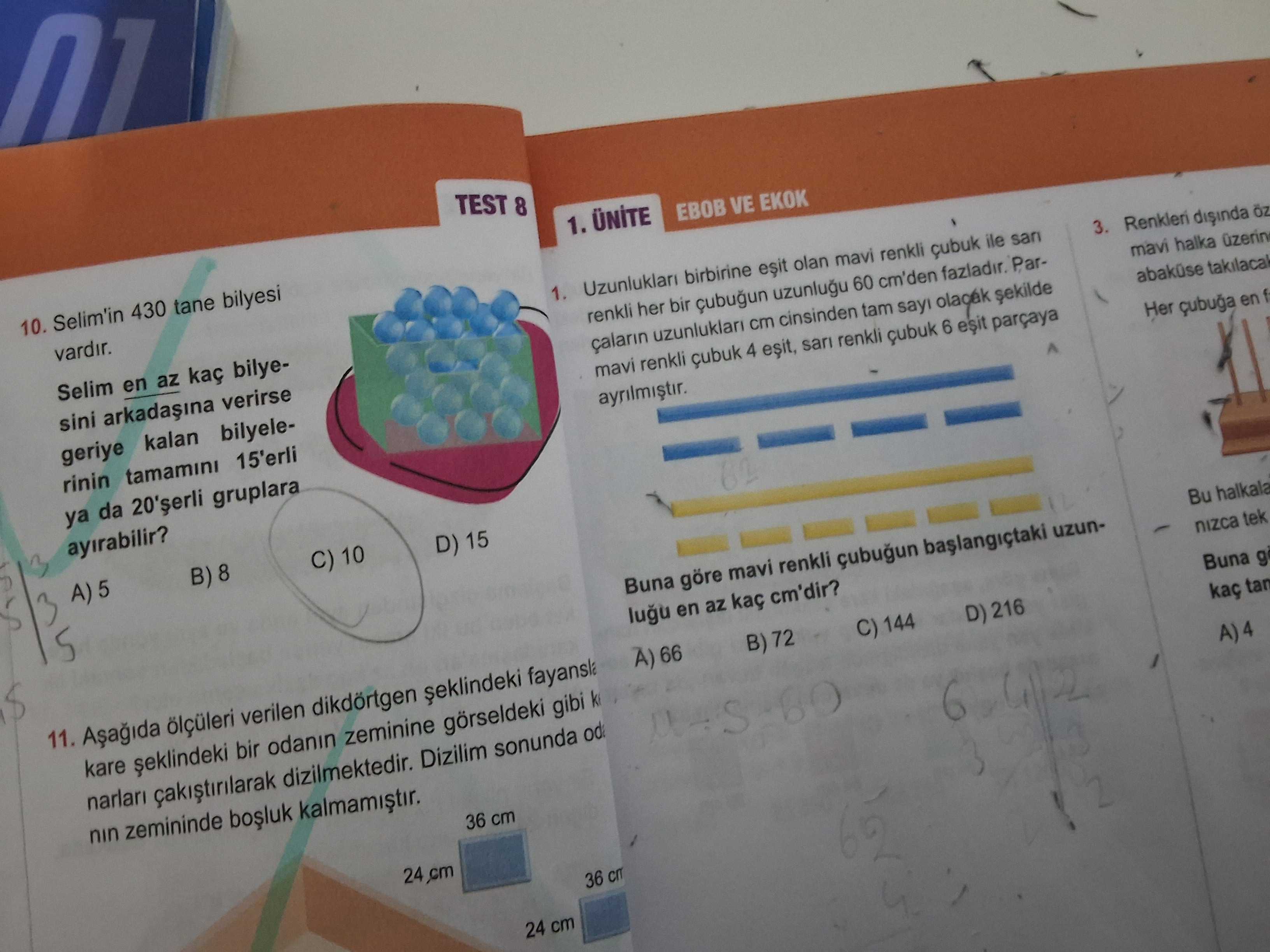 Matematik (8. Sınıf)