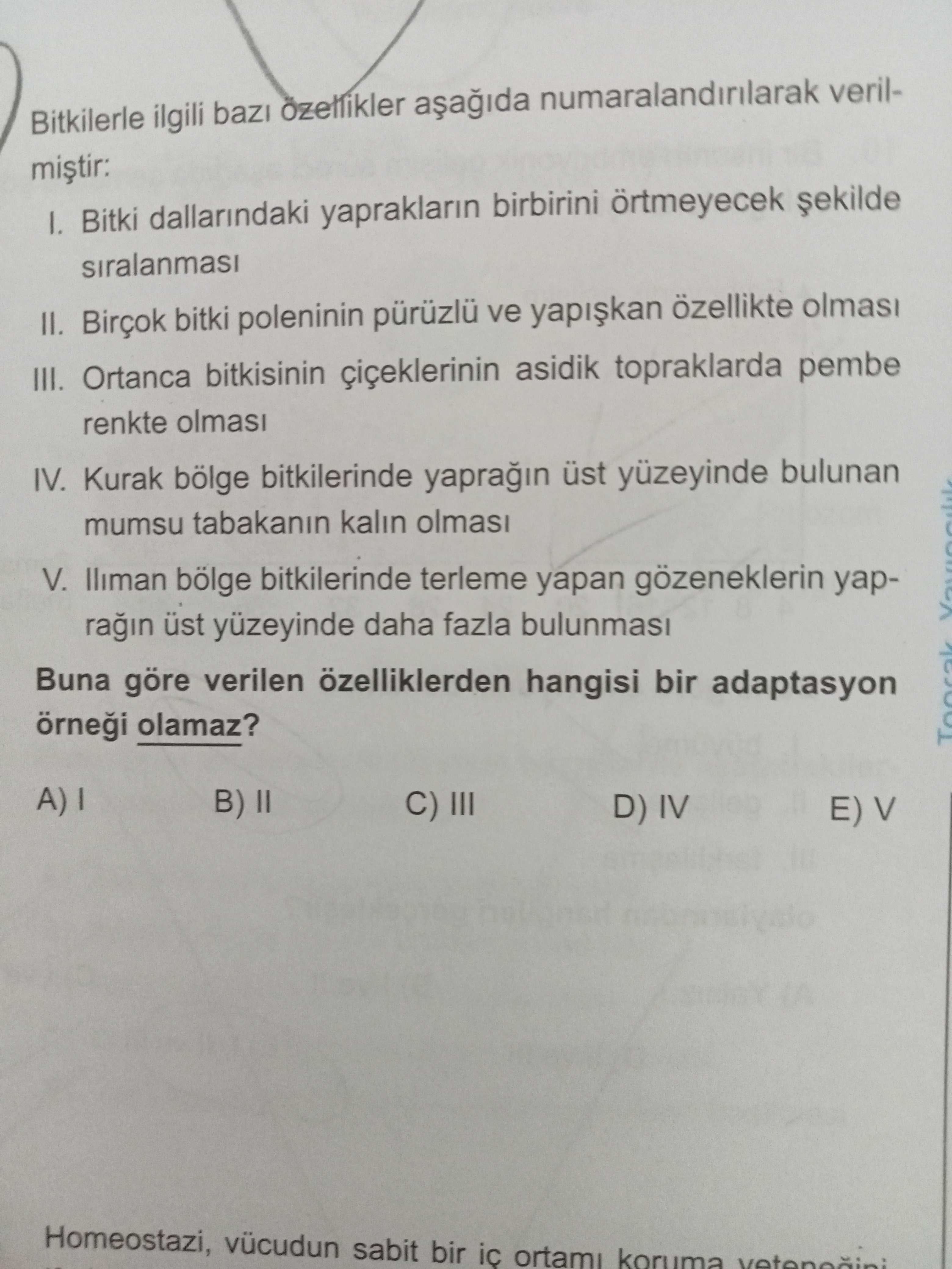 Biyoloji (11. Sınıf)