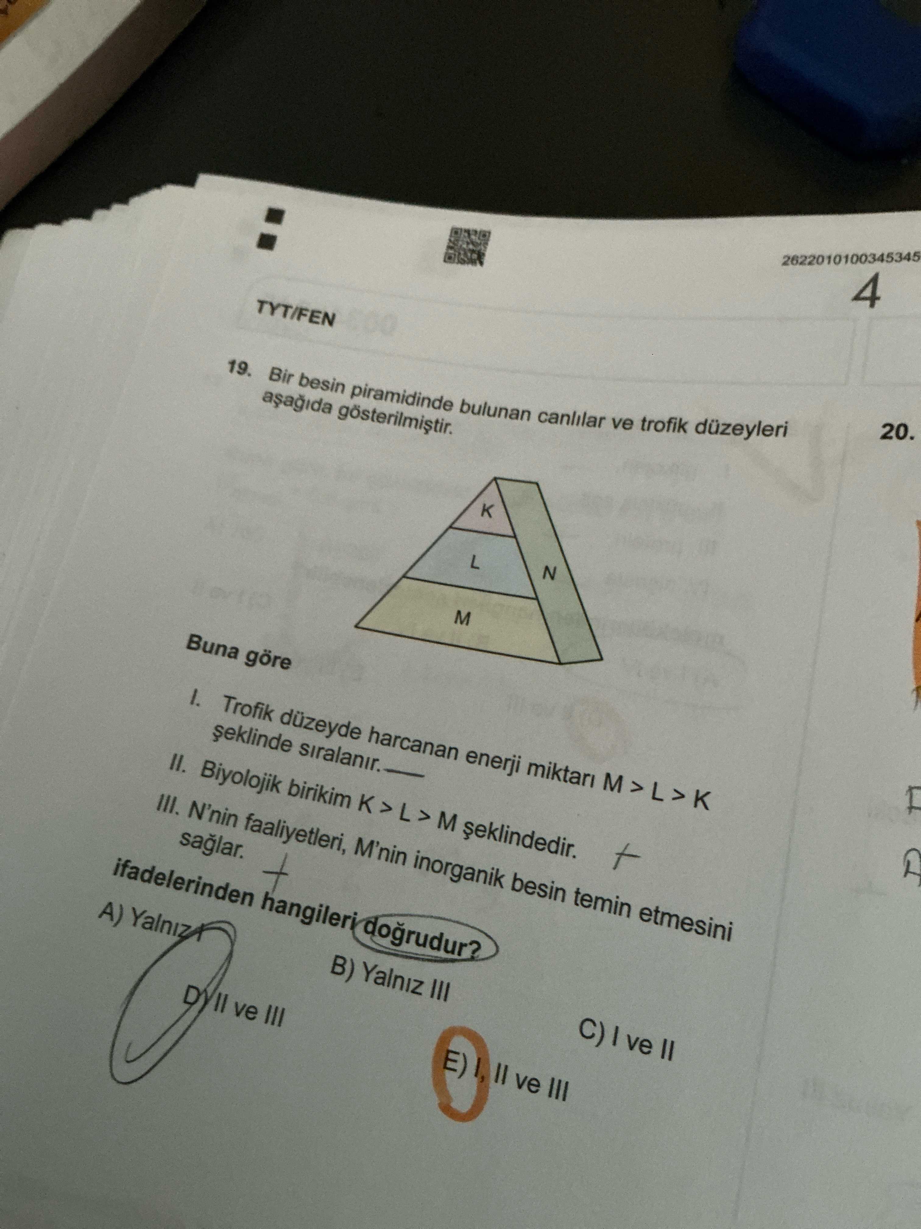 Bir besin piramidinde bulunan canlılar ve trofik düzeyleri aşağıda gösterilmiştir. Buna göre I