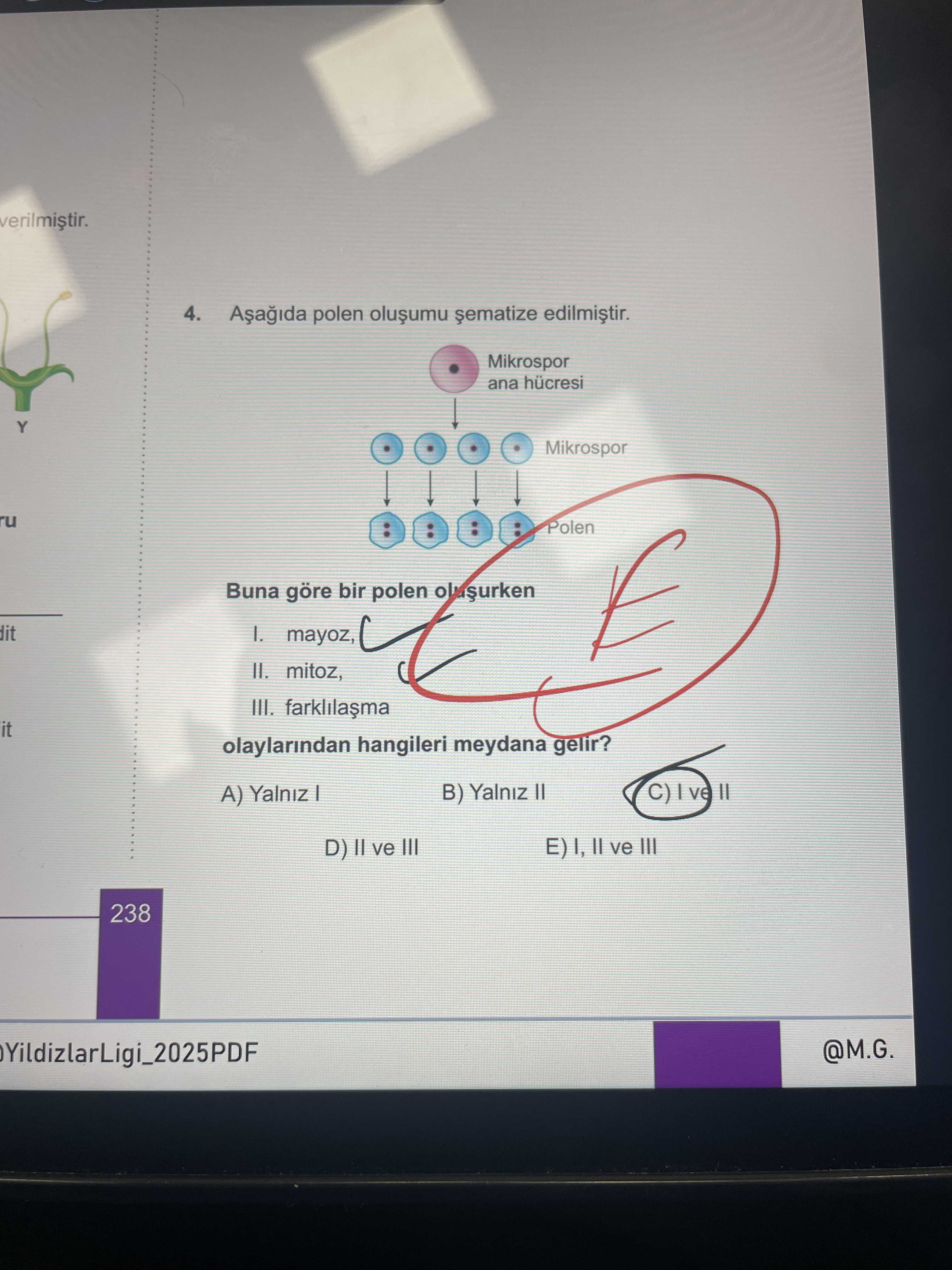 Aşağıda polen oluşumu şematize edilmiştir. Buna göre bir polen oluşurken I. mayoz, II. mitoz, III