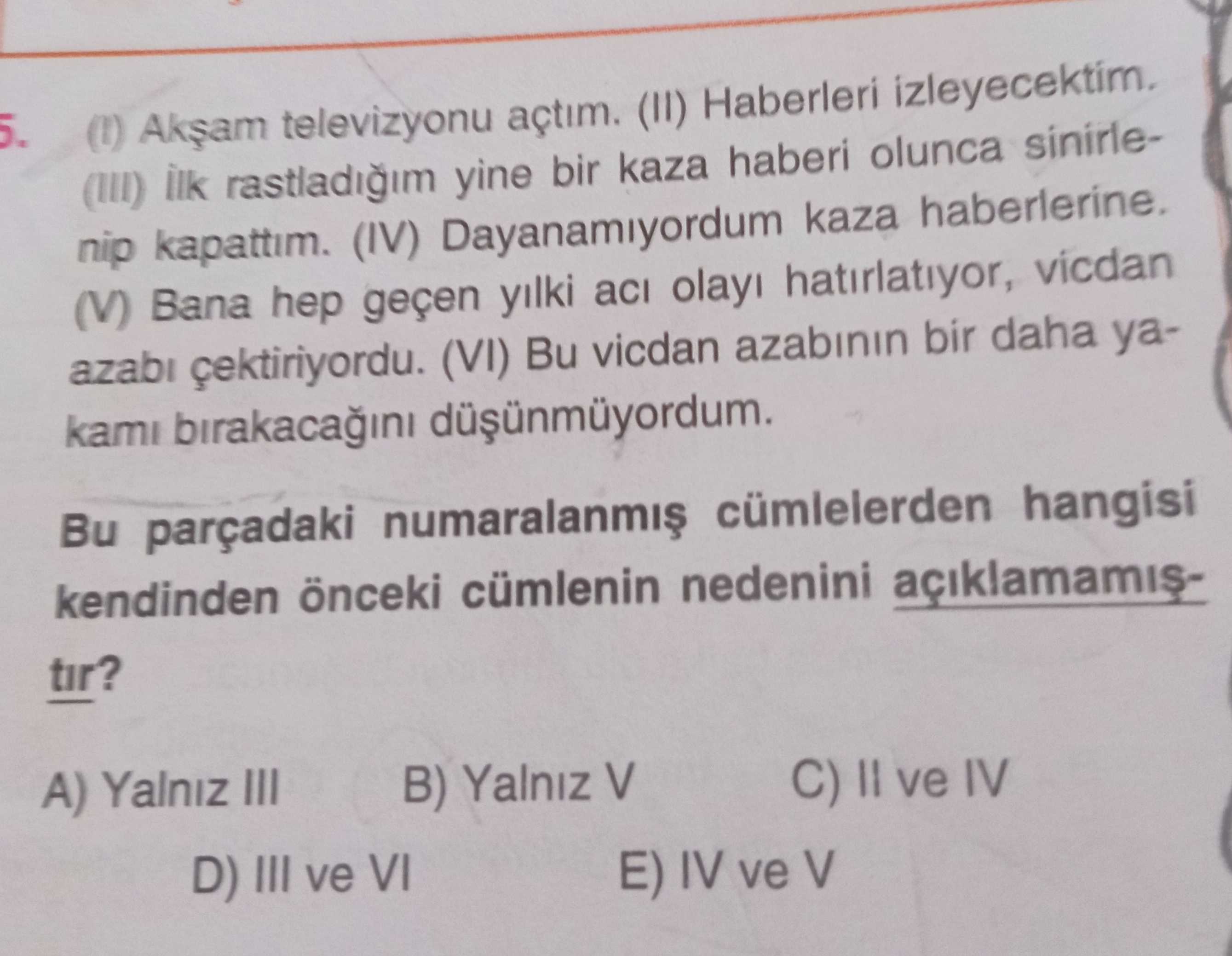 Türkçe (Mezun)