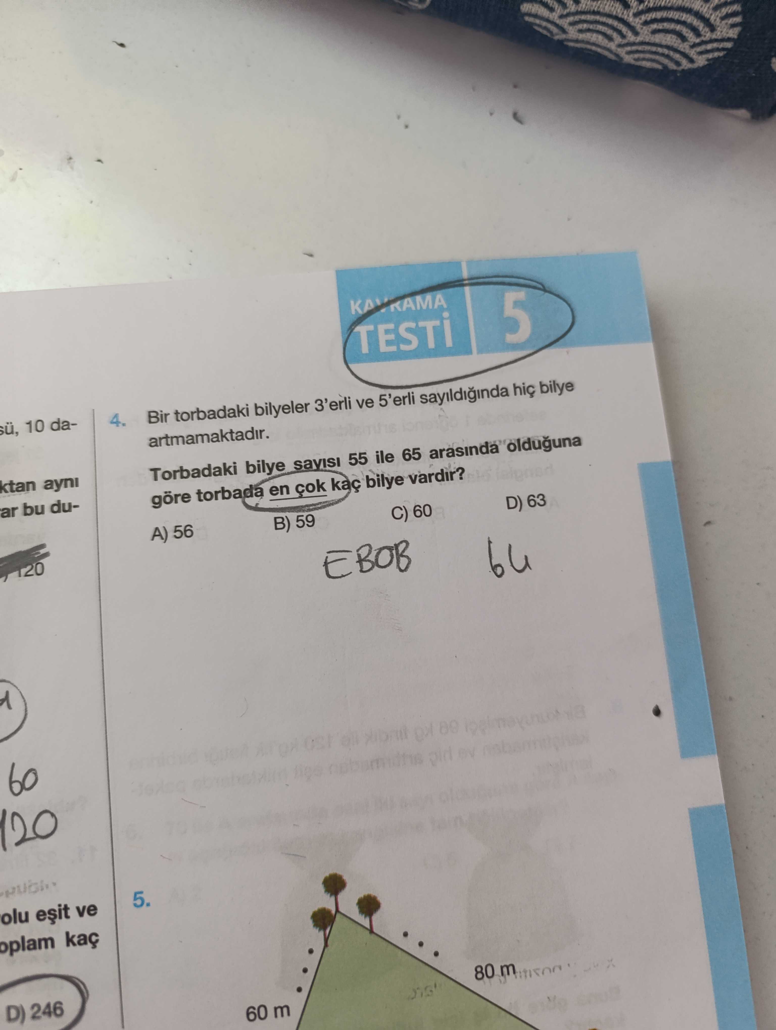 Matematik (8. Sınıf)
