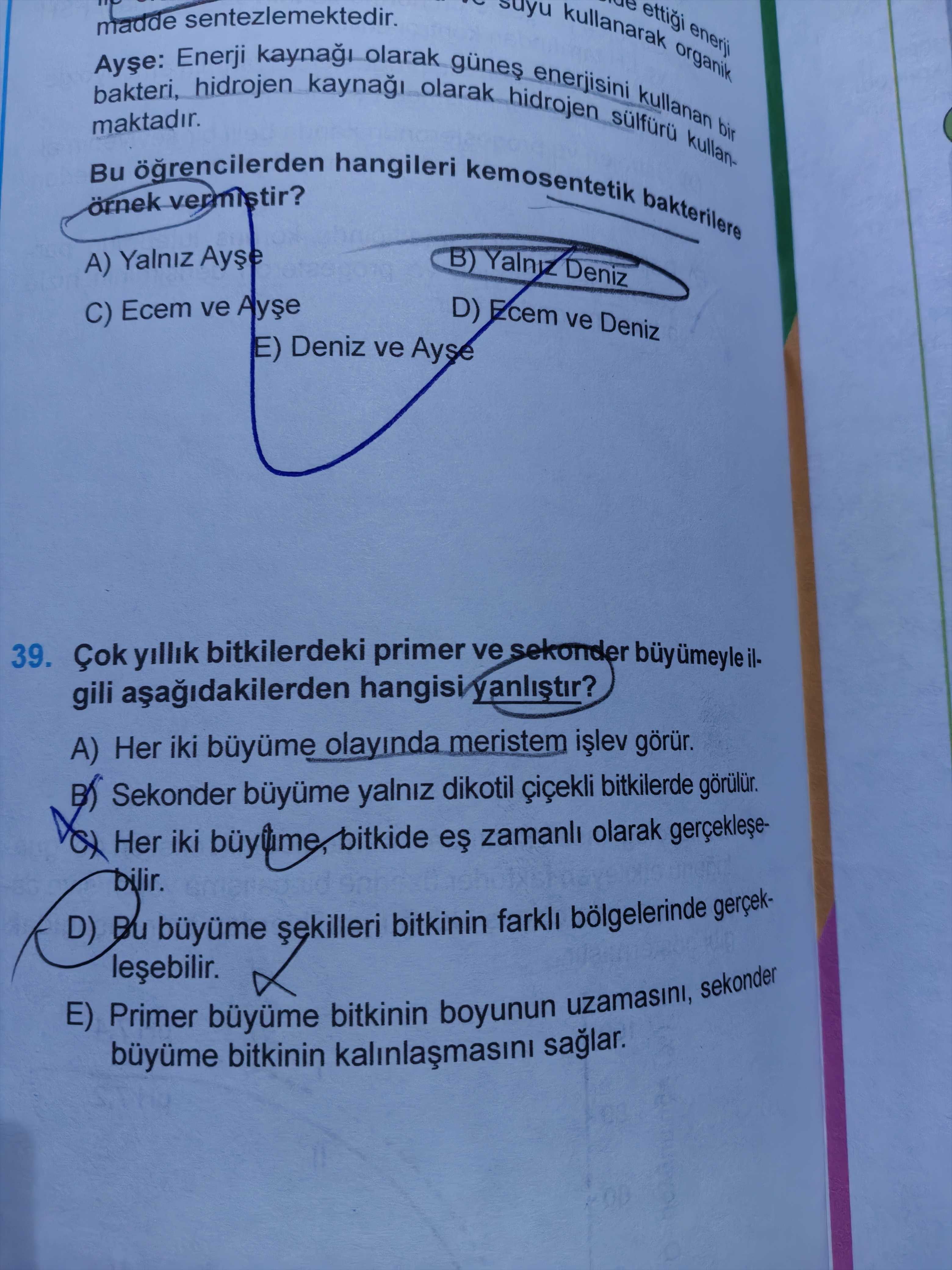 Çok yıllık bitkilerdeki primer ve sekonder büyümeyle ilgili aşağıdakilerden hangisi yanlıştır?