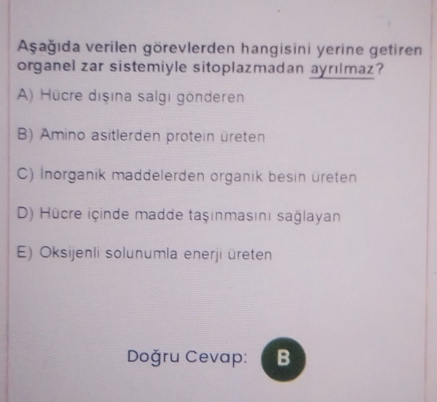 Aşağıda verilen görevlerden hangisini yerine getiren organel zar sistemiyle sitoplazmadan ayrılmaz?