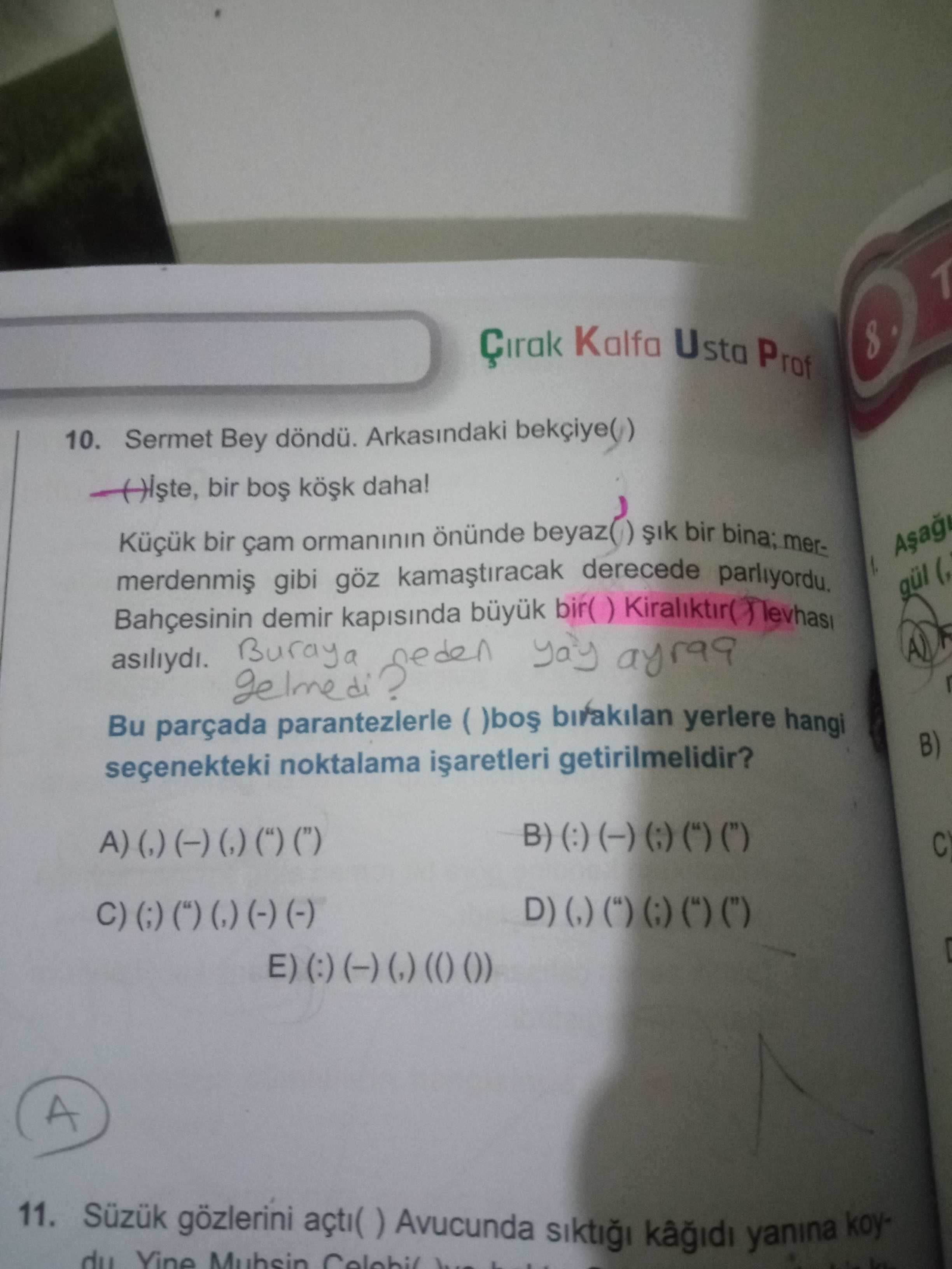 Türkçe (Mezun)