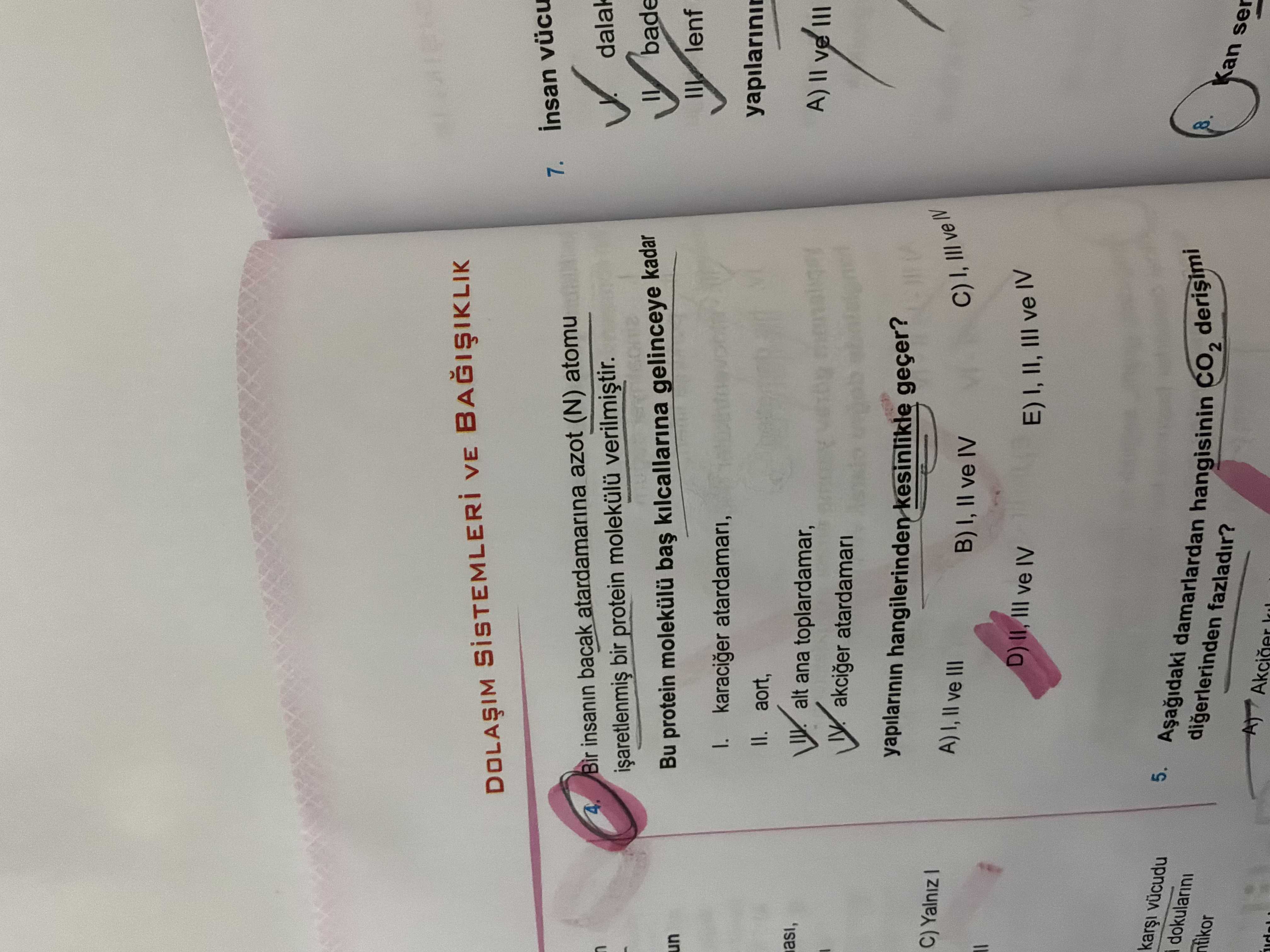 İnsanda kalp ile çeşitli organlar arasında gerçekleşen dolaşım aşağıdaki şemada özetlenmiştir. Tok bir bireyde glikoz