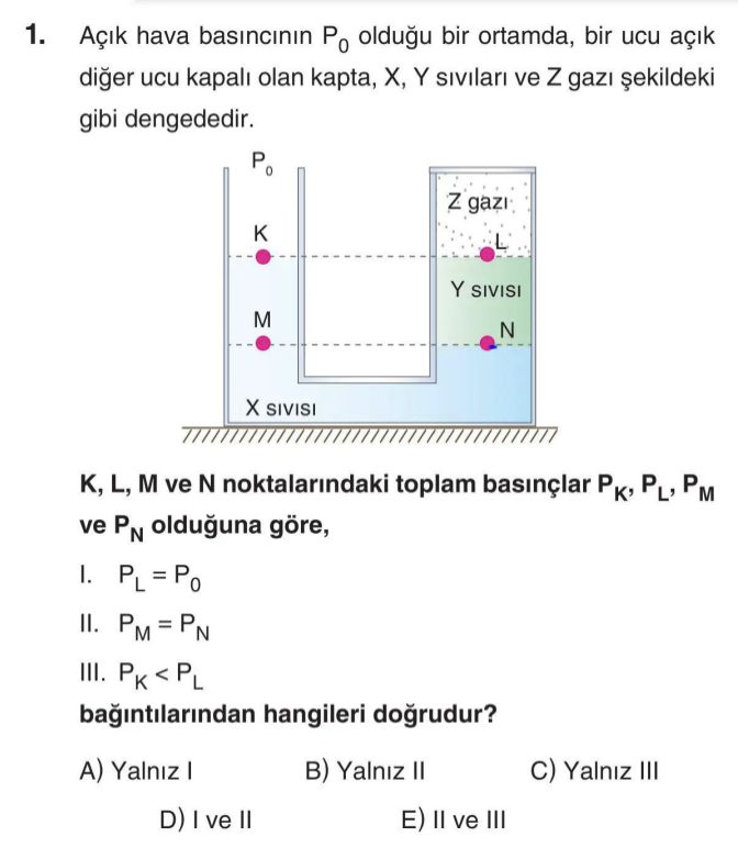 Fizik (12. Sınıf)