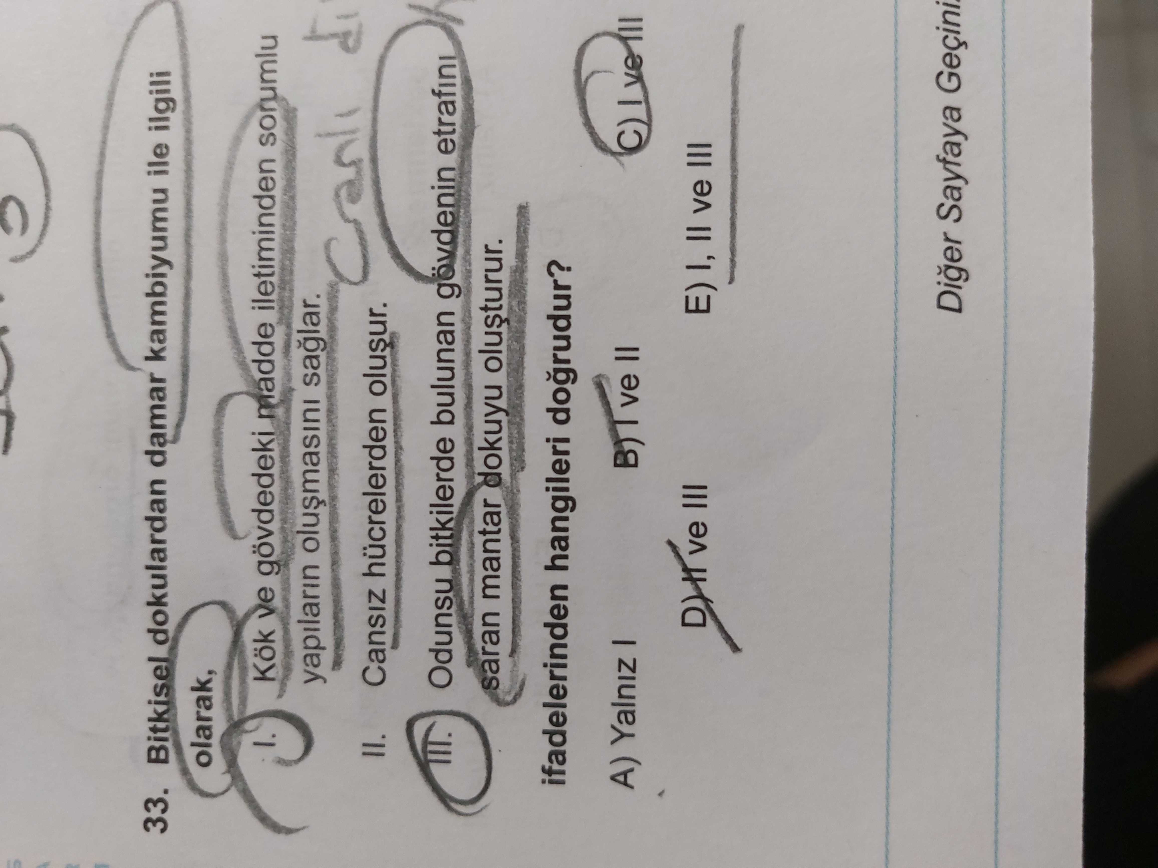Bitkisel dokulardan damar kambiyumu ile ilgili olarak, I. Kök ve gövdedeki madde iletiminden sorumlu