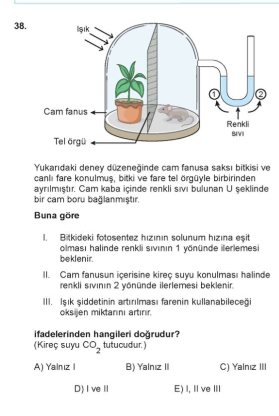 Yukarıdaki deney düzeneğinde cam fanusa saksı bitkisi ve canlı fare konulmuş, bitki ve fare tel