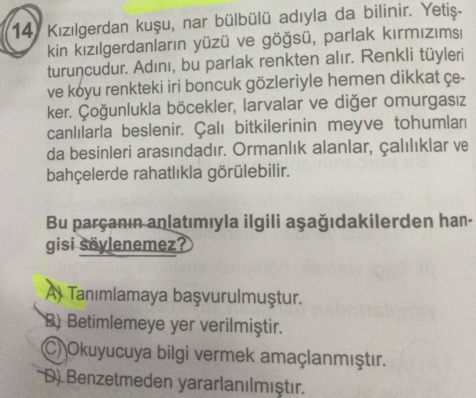 Kızılgerdan kuşu, nar bülbülü adıyla da bilinir. Yetişkin kızılgerdanların yüzü ve göğsü, parlak
