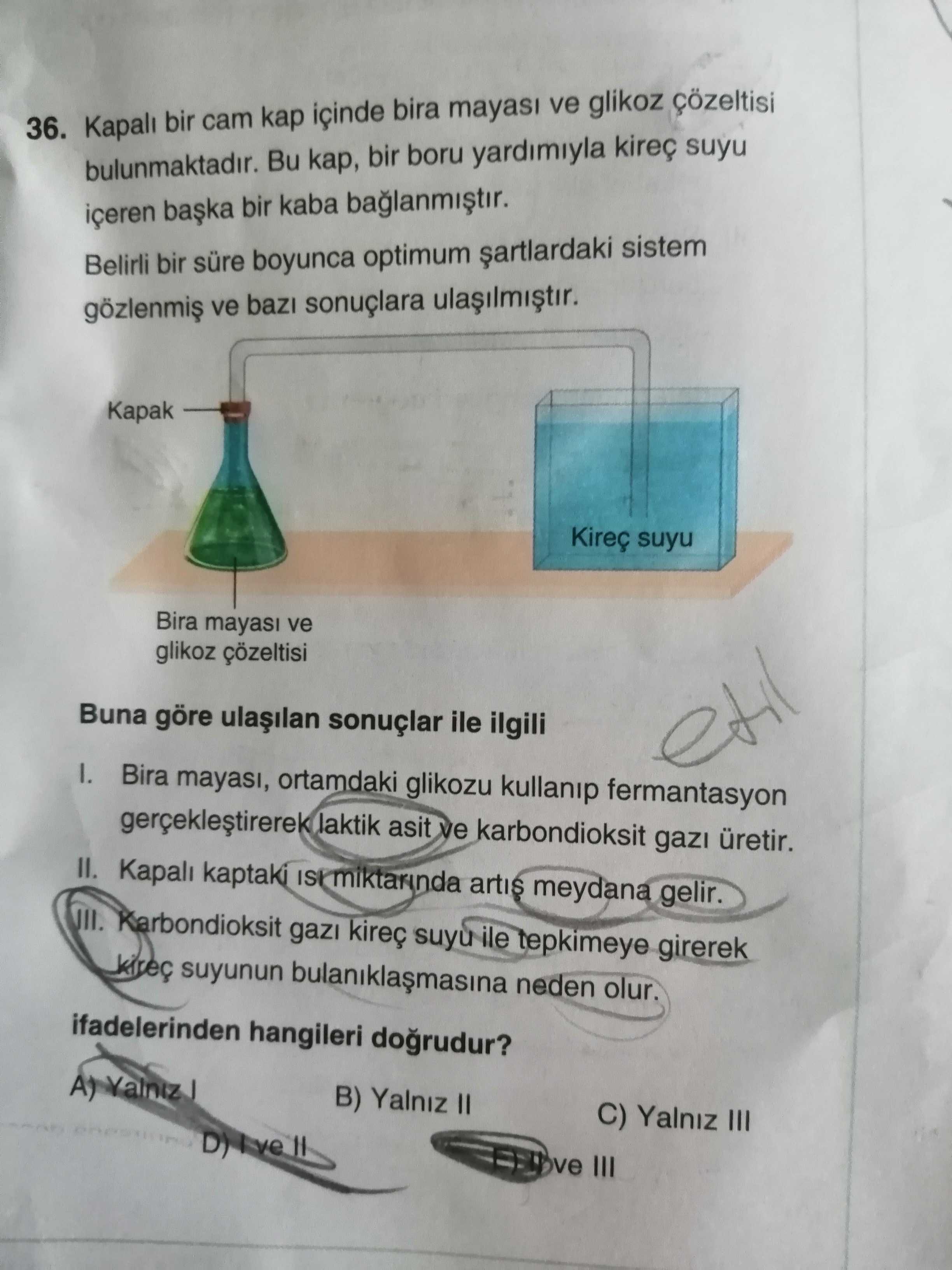 Kapalı bir cam kap içinde bira mayası ve glikoz çözeltisi bulunmaktadır. Bu kap, bir boru yardımıyla