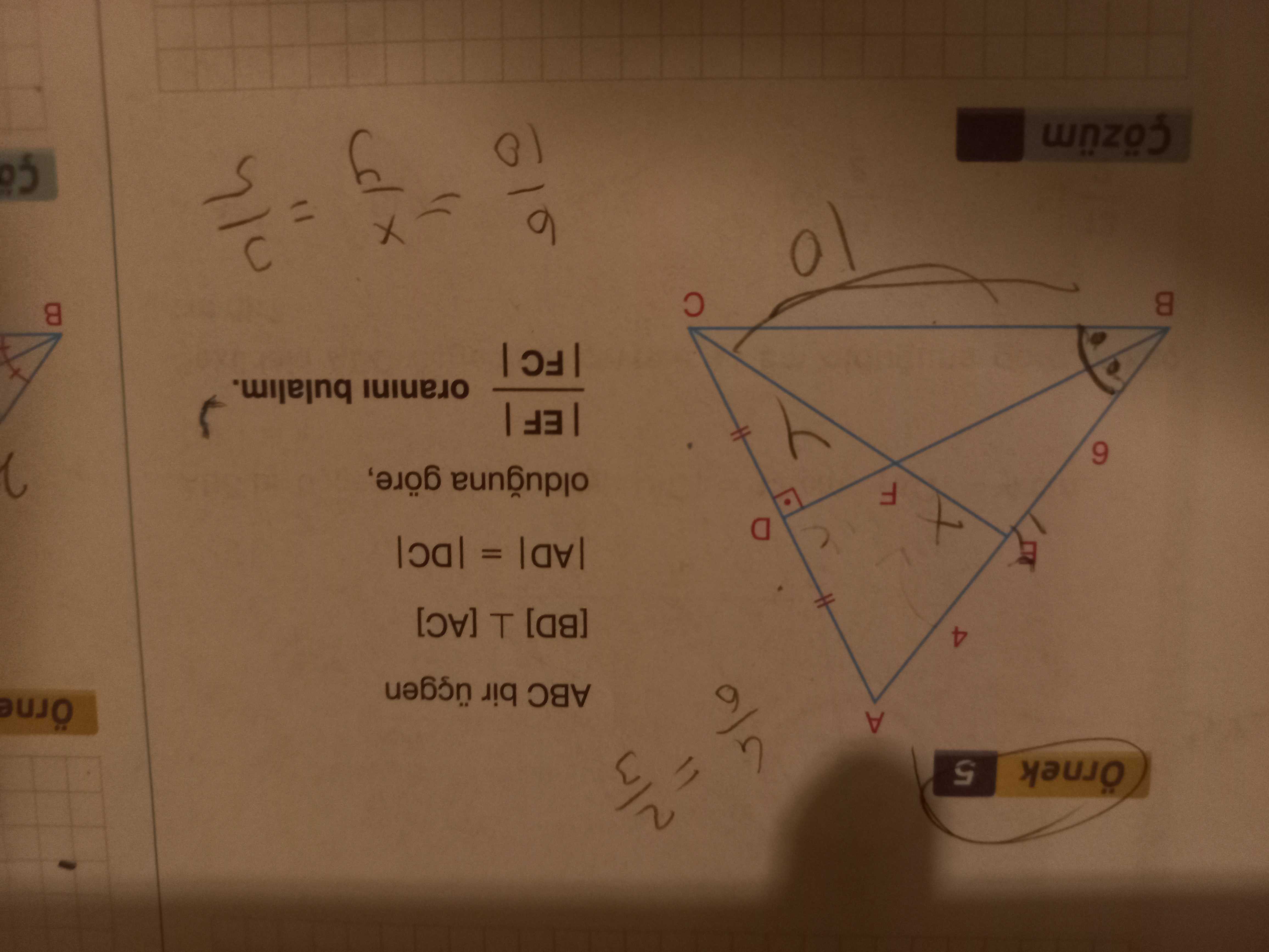 Matematik (11. Sınıf)