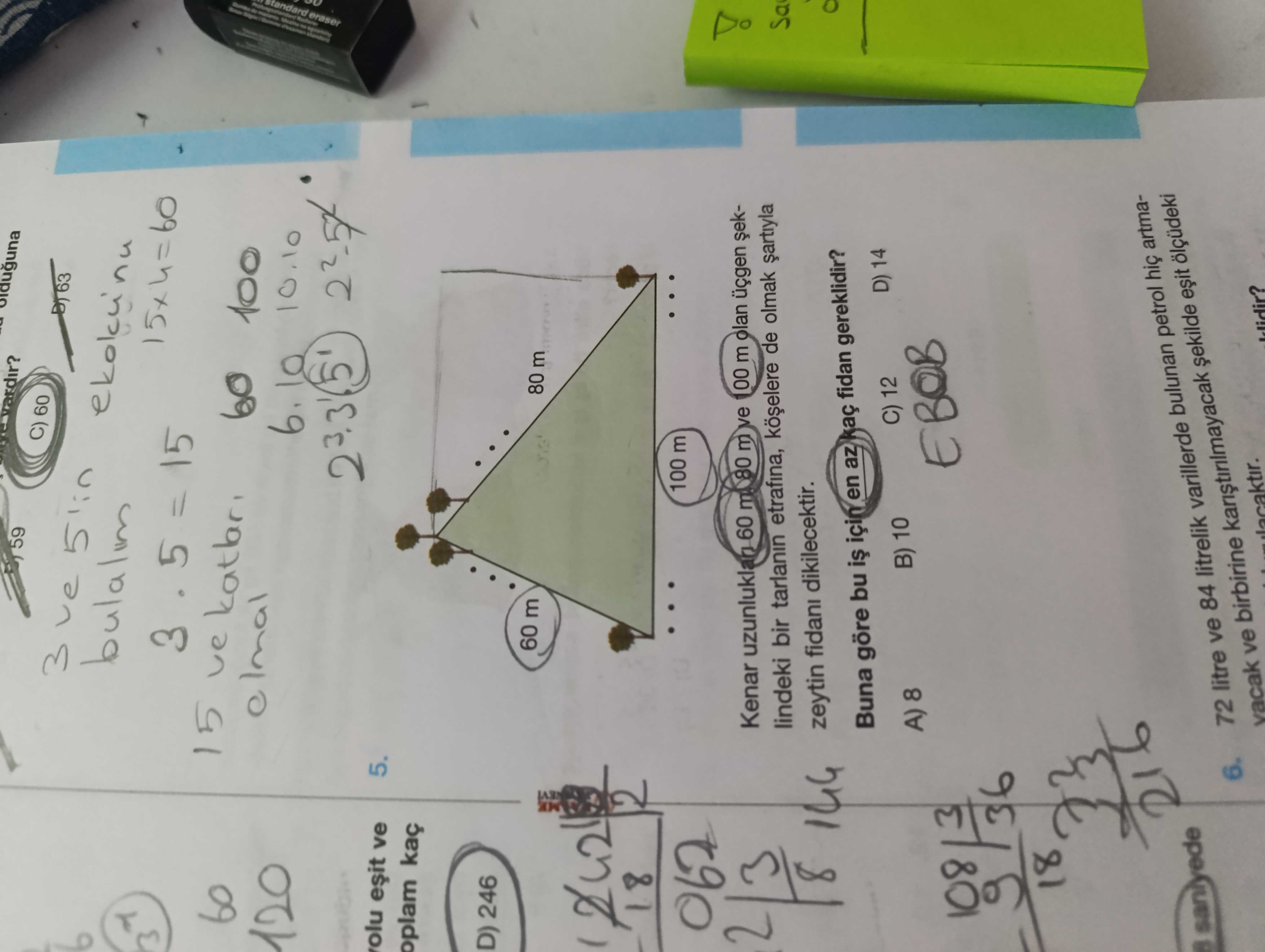 Matematik (8. Sınıf)