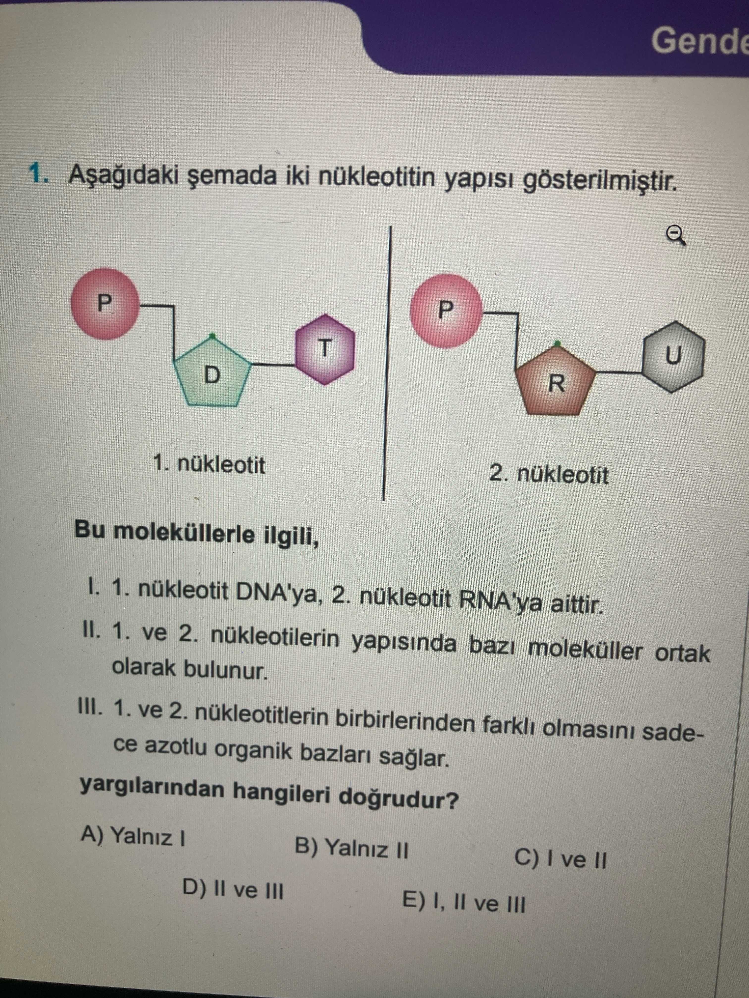 Aşağıdaki şemada iki nükleoditin yapısı gösterilmiştir. Bu moleküllerle ilgili, I. 1. nükleotit
