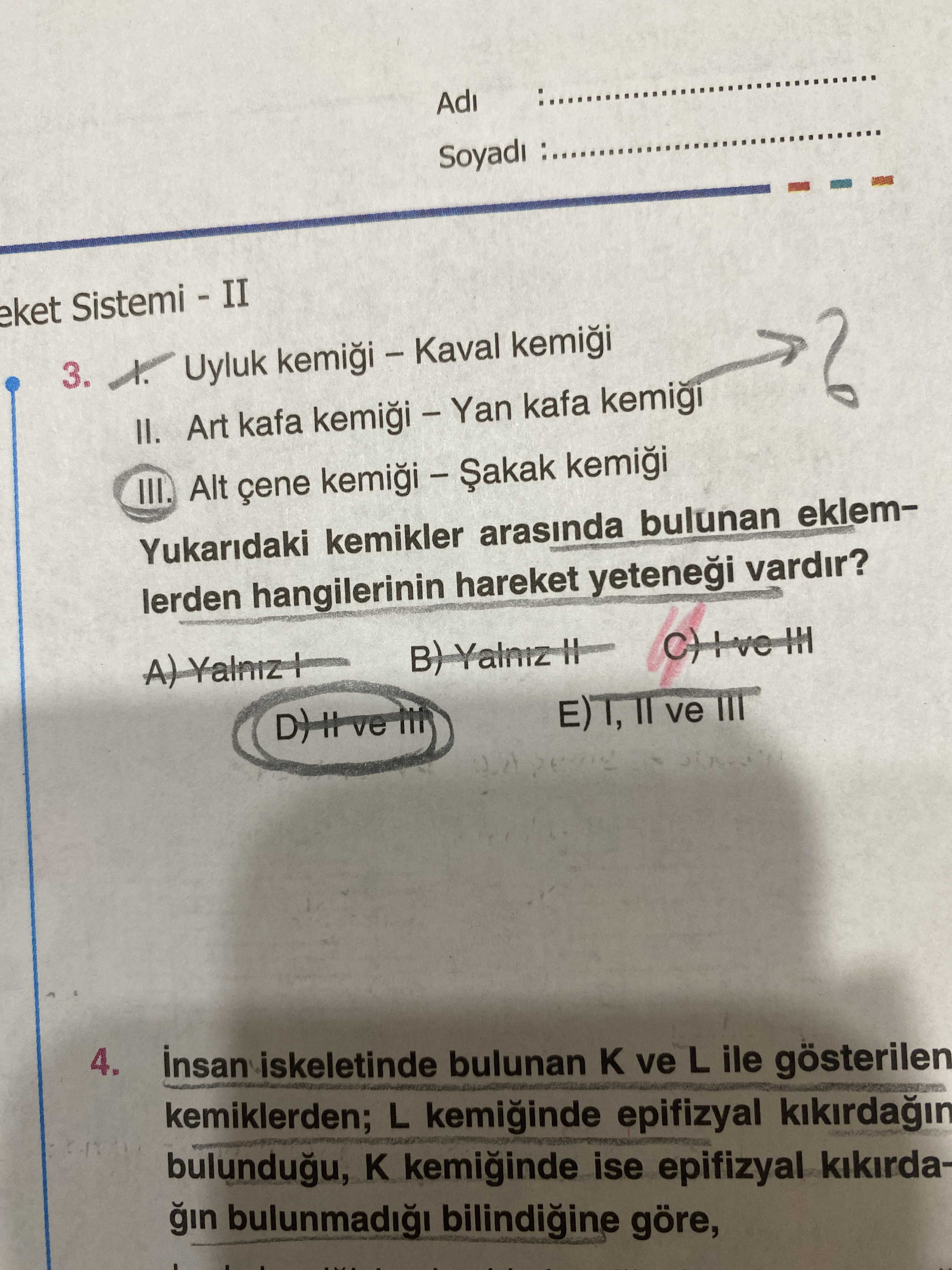 I. Uyluk kemiği – Kaval kemiği II. Art kafa kemiği – Yan kafa kemiği III. Alt çene kemiği – Şakak
