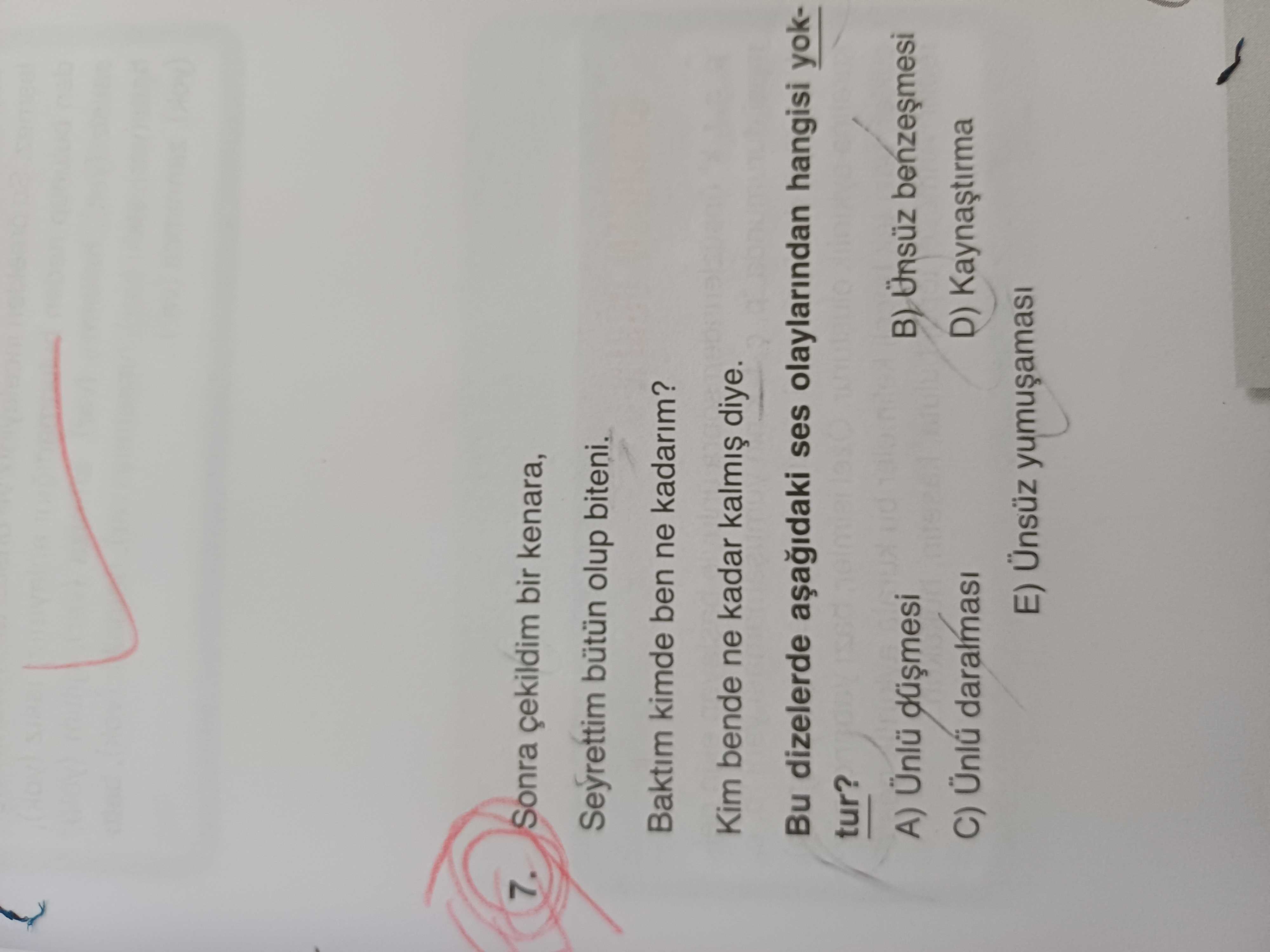 Türkçe (12. Sınıf)