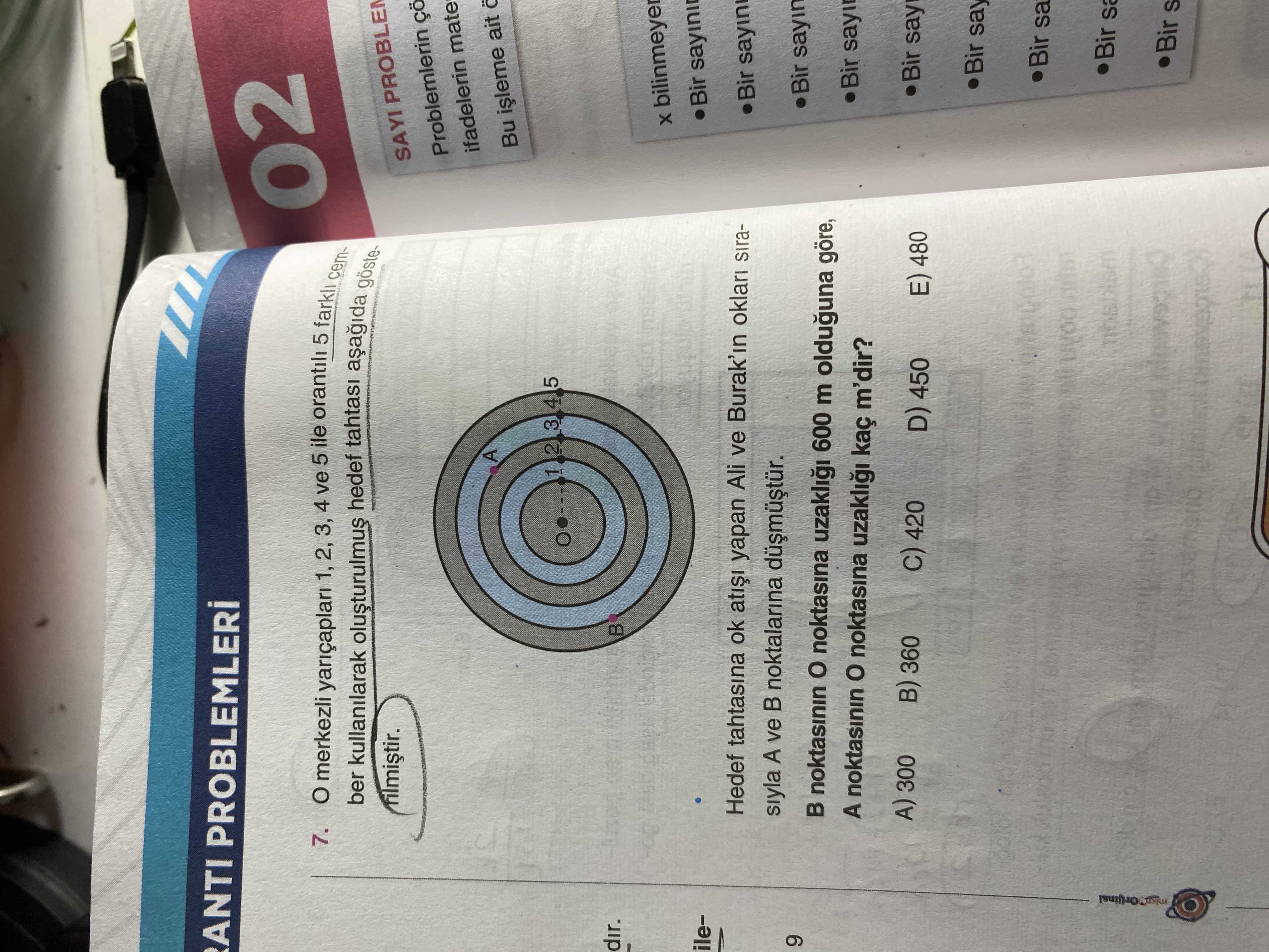 Matematik (11. Sınıf)