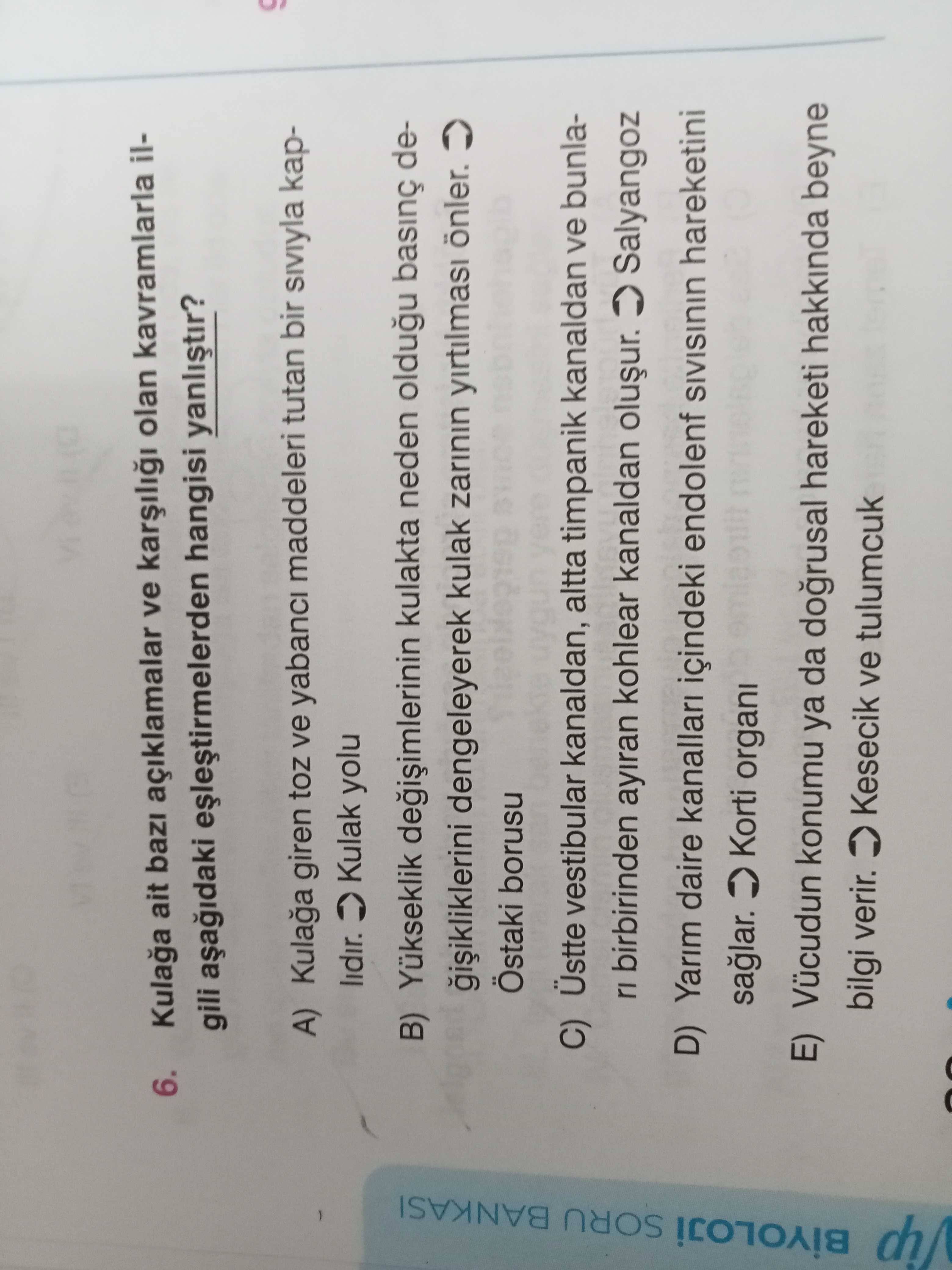 6. ait açiklamalar ve olan kavramlarla ilgili hangisi A) giren toz ve yabanci maddeleri tutan bir kaplidir. Kulak yolu SORU BANKASI B) Yükseklik kulakta neden oldugu dedengeleyerek kulak zarinin önler. Östaki borusu C) Üstte vestibular kanaldan, altta timpanik kanaldan ve bunlari birbirinden ayiran kohlear kanaldan Salyangoz D) Yarim daire kanallari içindeki endolenf SIVISININ hareketini Korti organi E) Vücudun konumu ya da dogrusal hareketi hakkinda beyne bilgi verir. Kesecik ve tulumcuk 6. Kesecik ve tulumcuk. ?? Model.Question.title