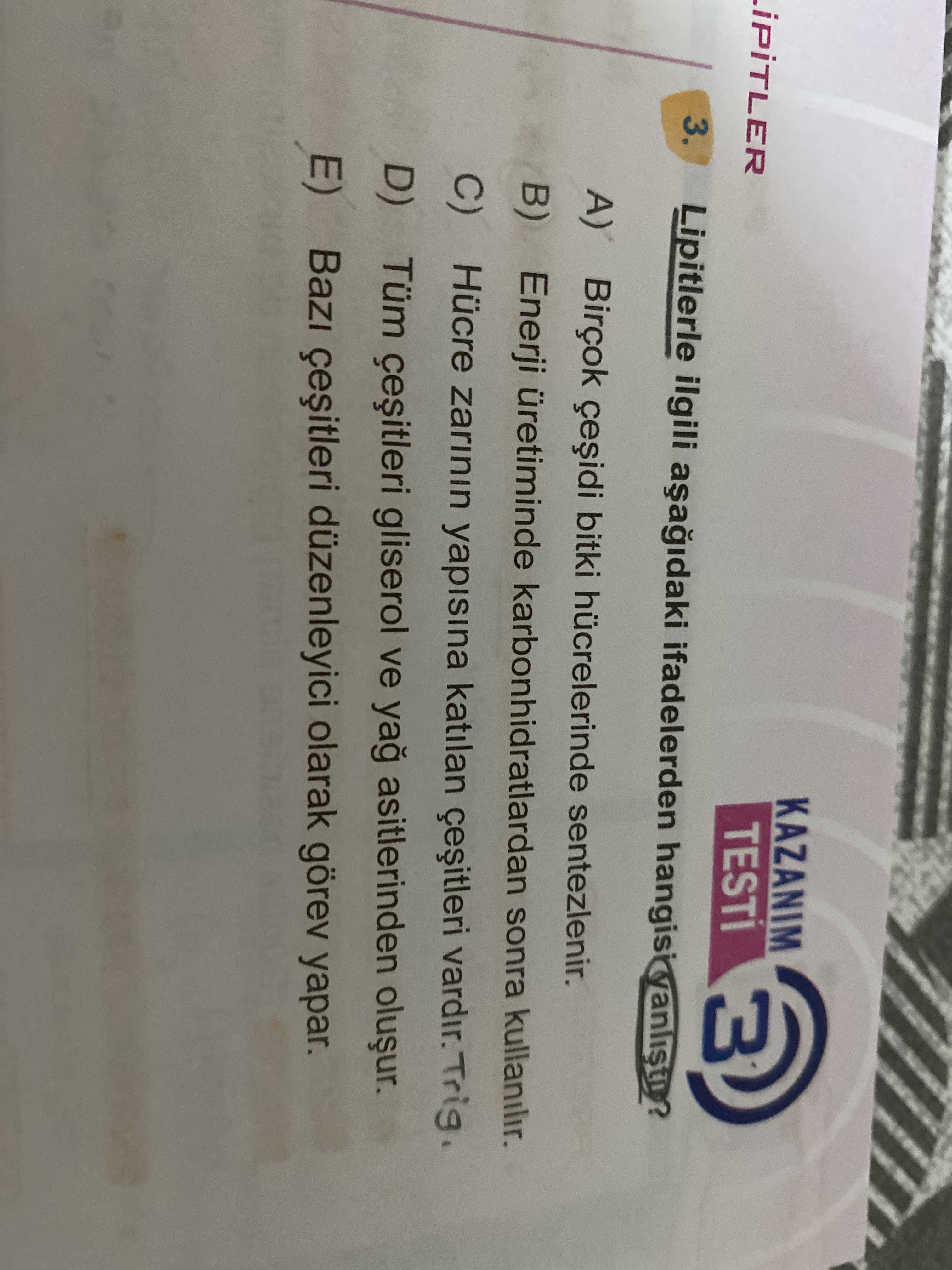 Biyoloji (11. Sınıf)