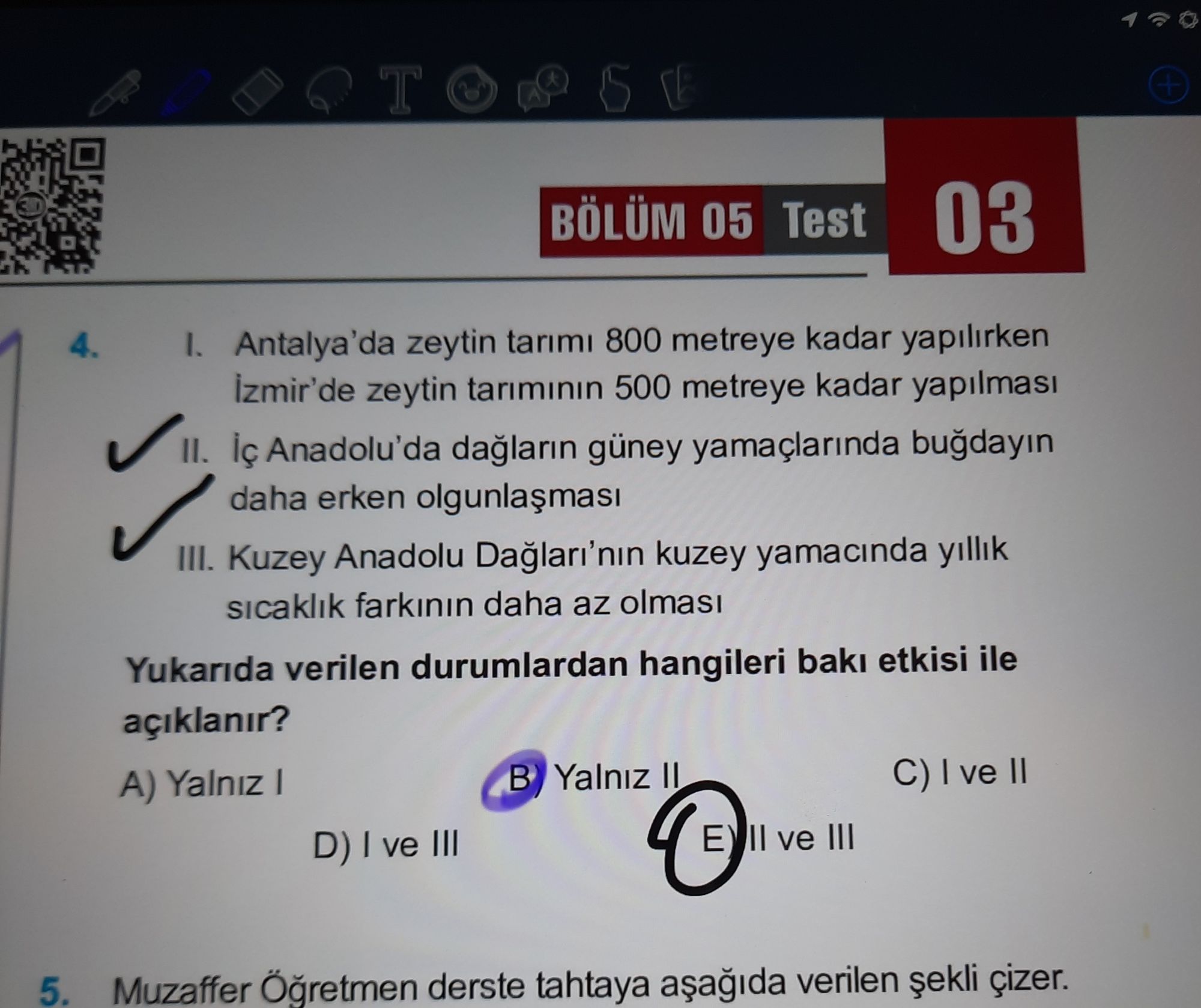 I. Antalya'da zeytin tarımı 800 metreye kadar yapılırken İzmir'de zeytin tarımının 500 metreye kadar
