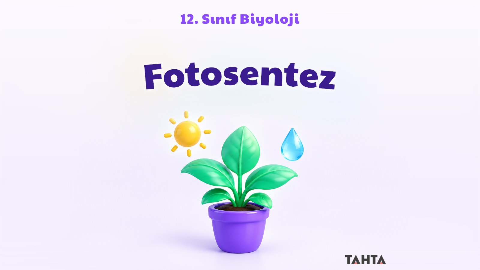 Saksıda yeşil yapraklı bitki, güneş ve su damlasından oluşan 12. sınıf biyoloji fotosentez kapak görseli