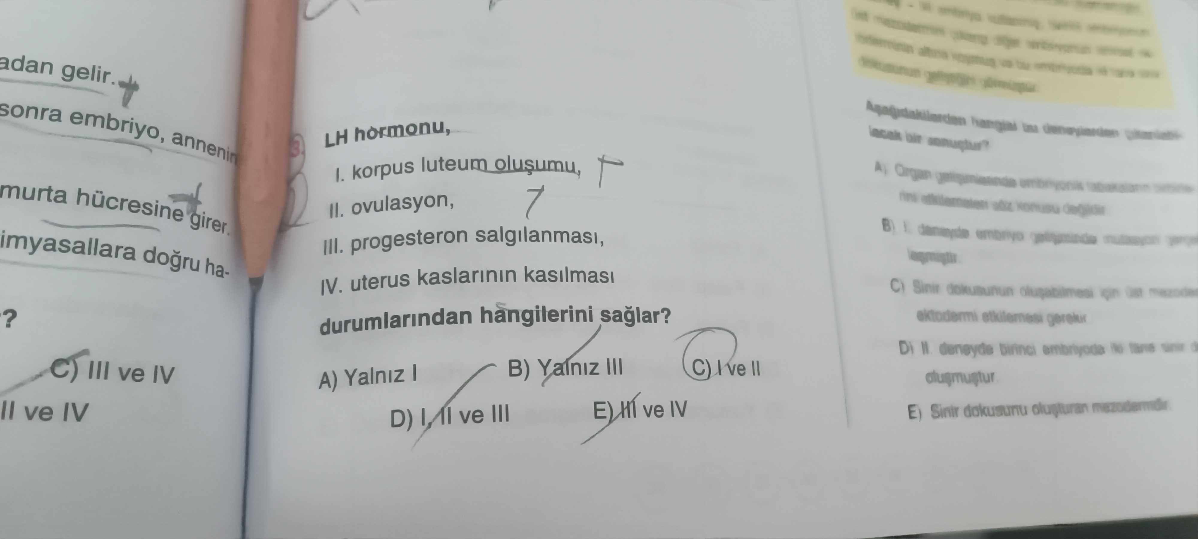 LH hormonu, I. korpus luteum oluşumu, II. ovulasyon, III. progesteron salgılanması, IV. uterus
