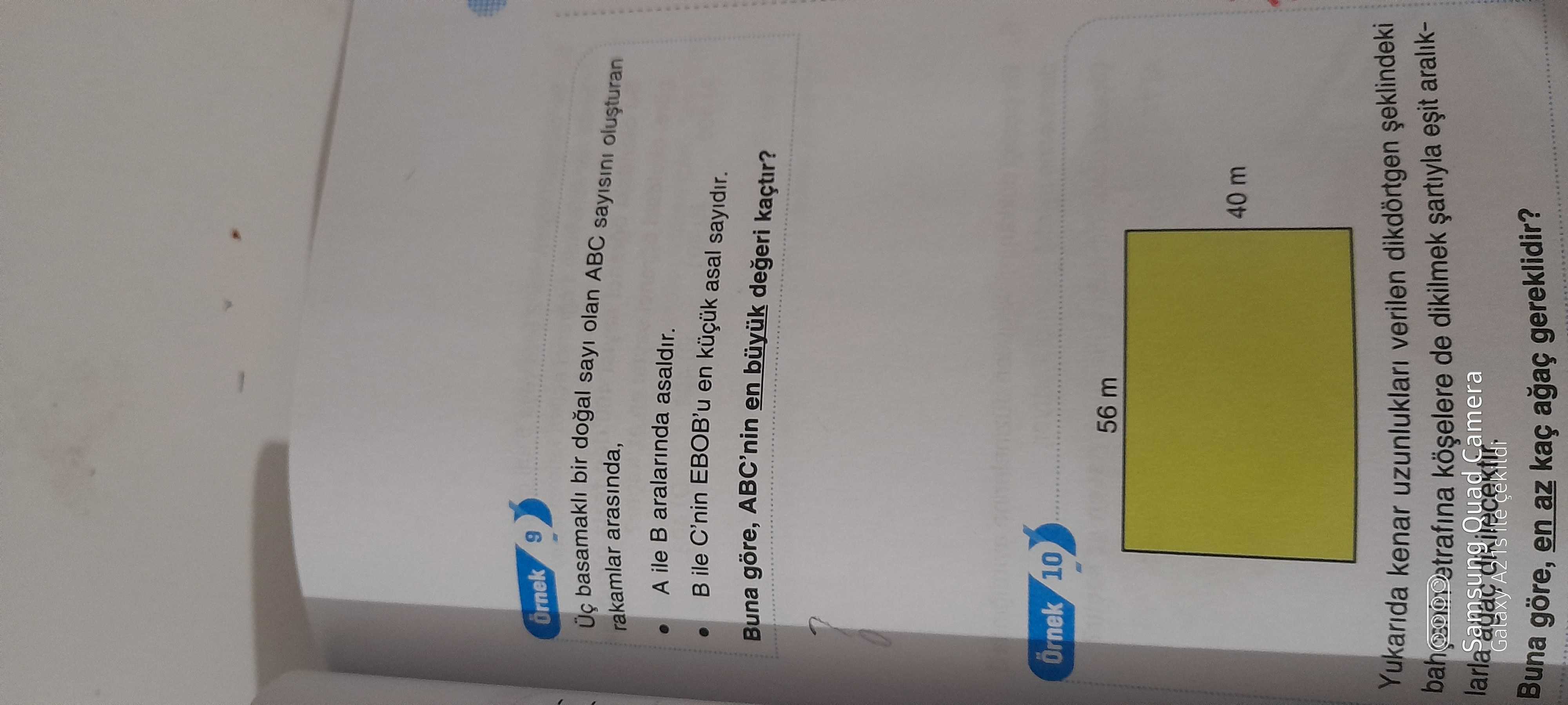 Matematik (8. Sınıf)