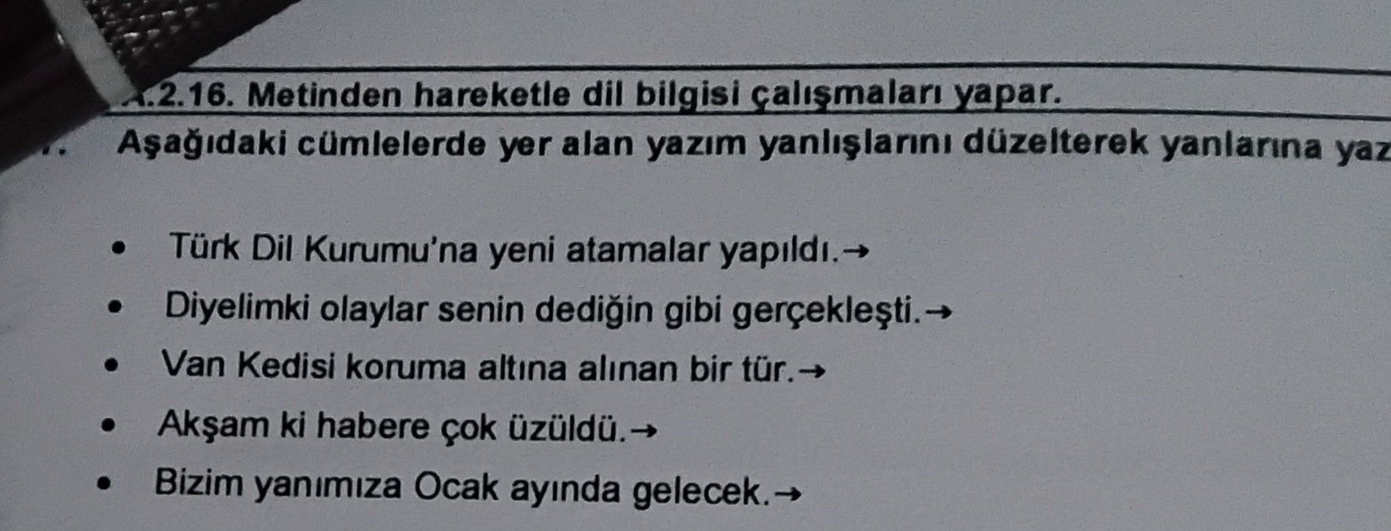 2.16. Metinden hareketle dil bilgisi çalışmaları yapar. Aşağıdaki cümlelerde yer alan yazım