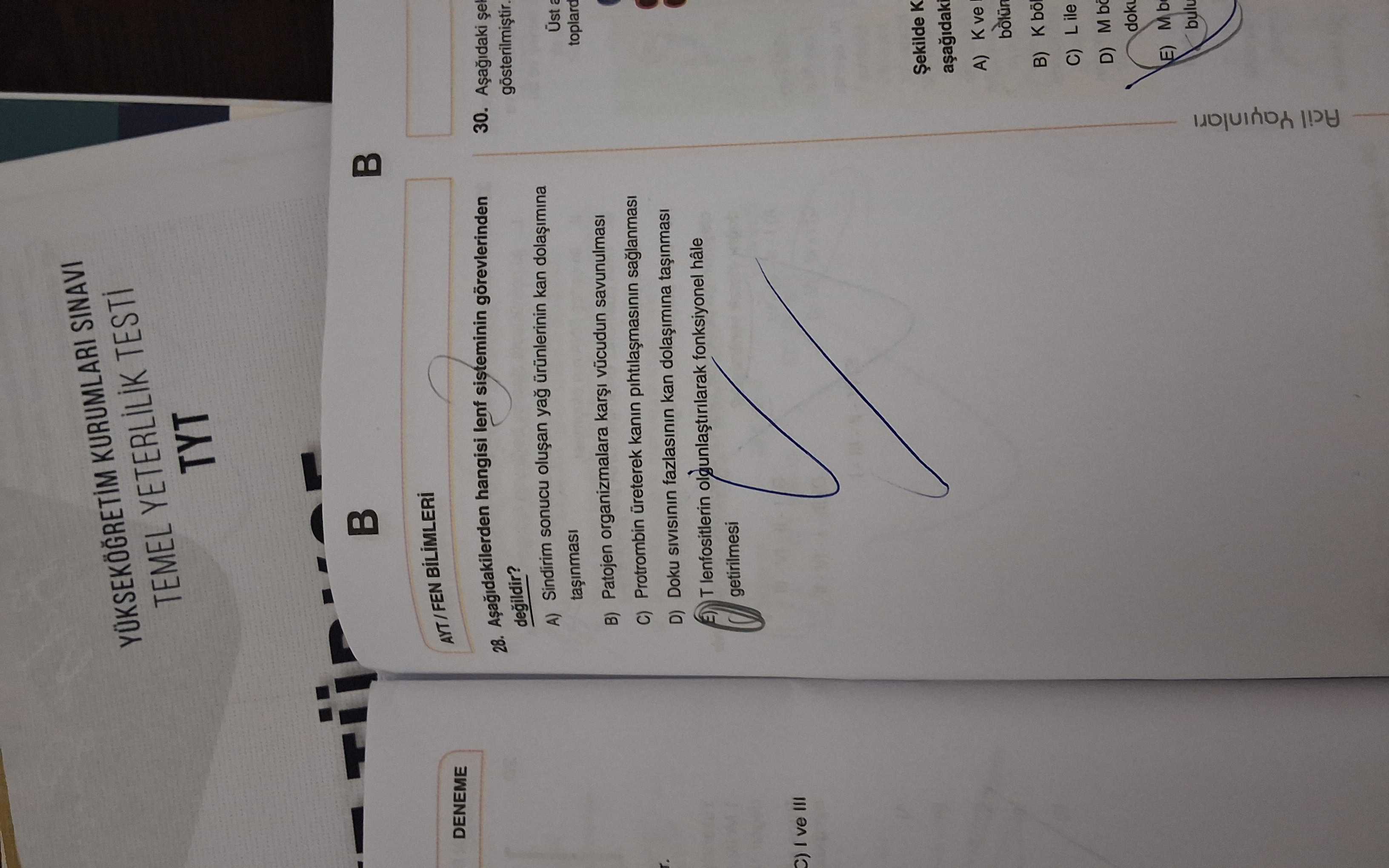 Aşağıdakilerden hangisi lenf sisteminin görevlerinden değildir?