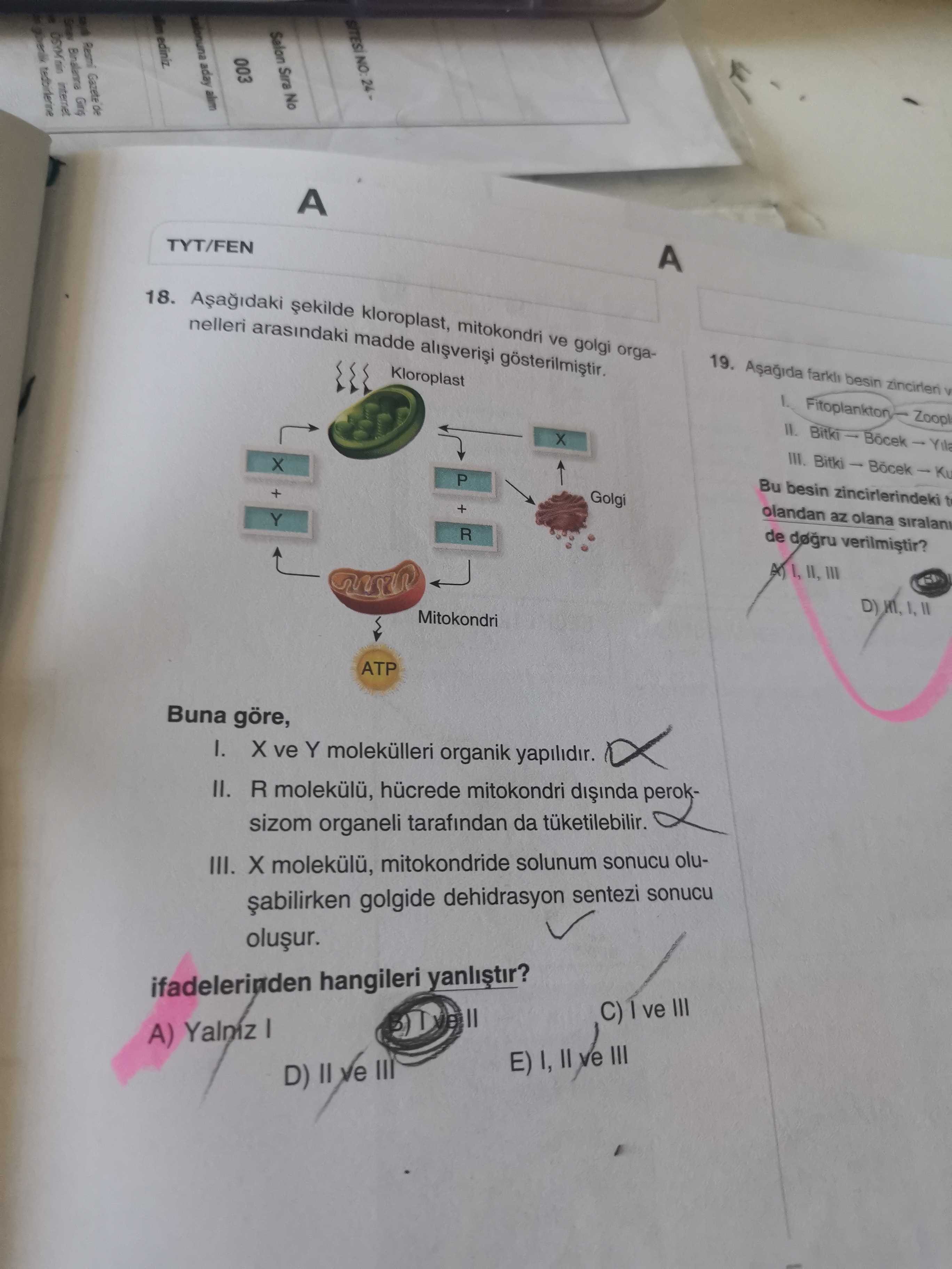 Aşağıdaki şekilde kloroplast, mitokondri ve golgi organelleri arasındaki madde alışverişi