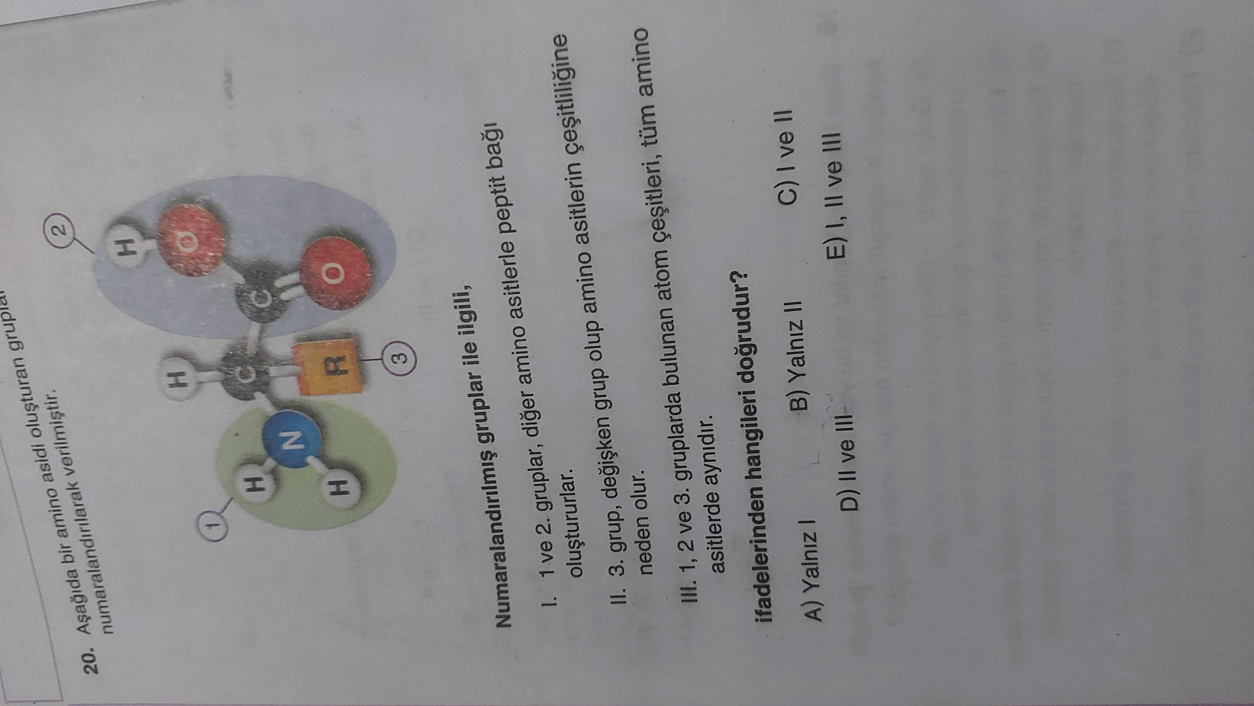 20. bir amino asidi numaralandirilarak 2 H 1 H N H R 3 gruplar ile ilgili, 1 ve 2. gruplar, diger amino asitlerle peptit II. 3. grup, grup olup amino asitlerin neden olur. III. 1, 2 ve 3. gruplarda bulunan atom tüm amino asitlerde aynidir. ifadelerinden hangileri dogrudur. A) Yalniz B) Yalniz II D) II ve III ve II E) II ve III 20. A) Yalniz B) Yalniz II D) II ve III ve II E) II ve III. ?? Model.Question.title