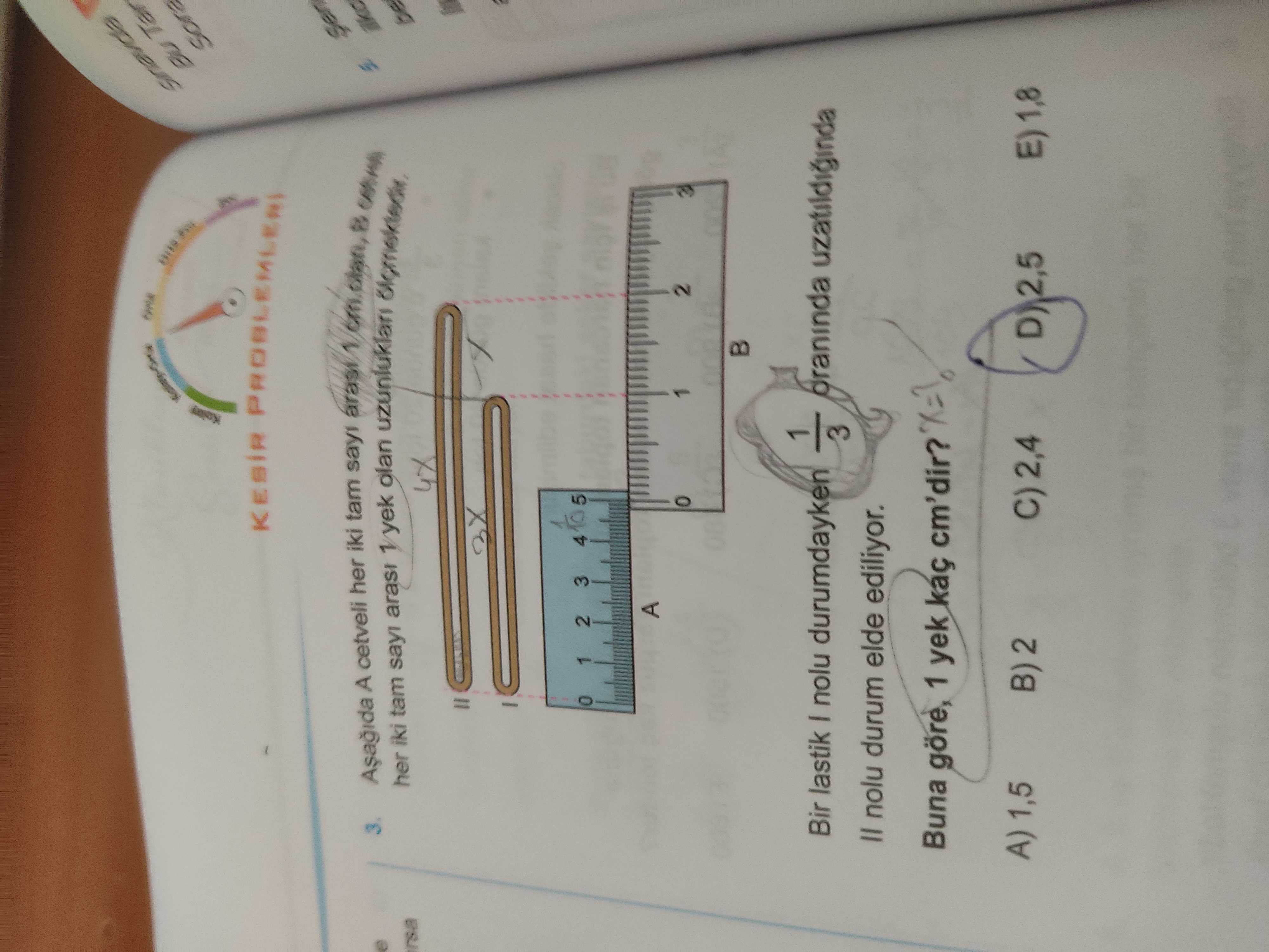 Matematik (12. Sınıf)