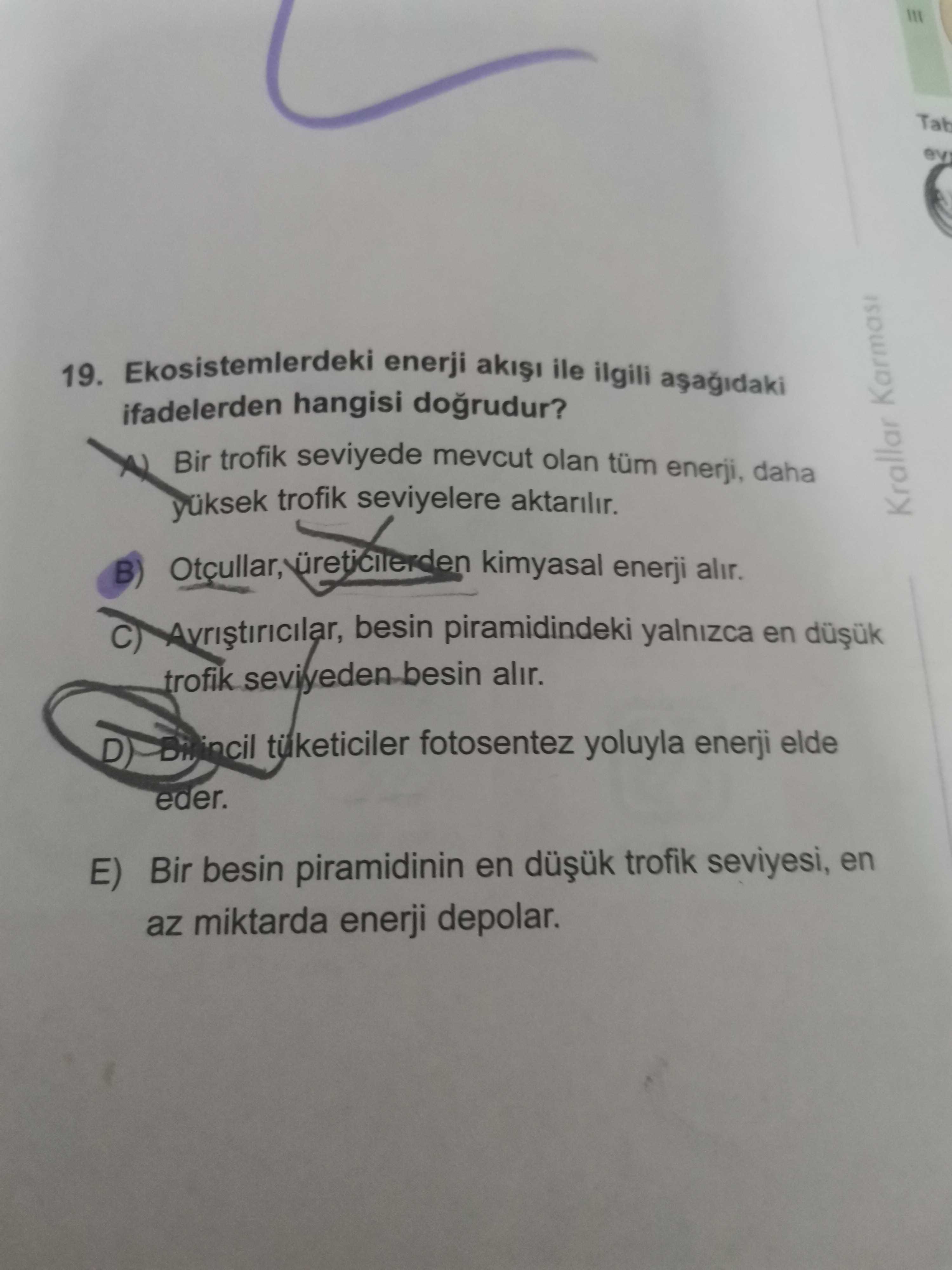 Ekosistemlerdeki enerji akışı ile ilgili aşağıdaki ifadelerden hangisi doğrudur?