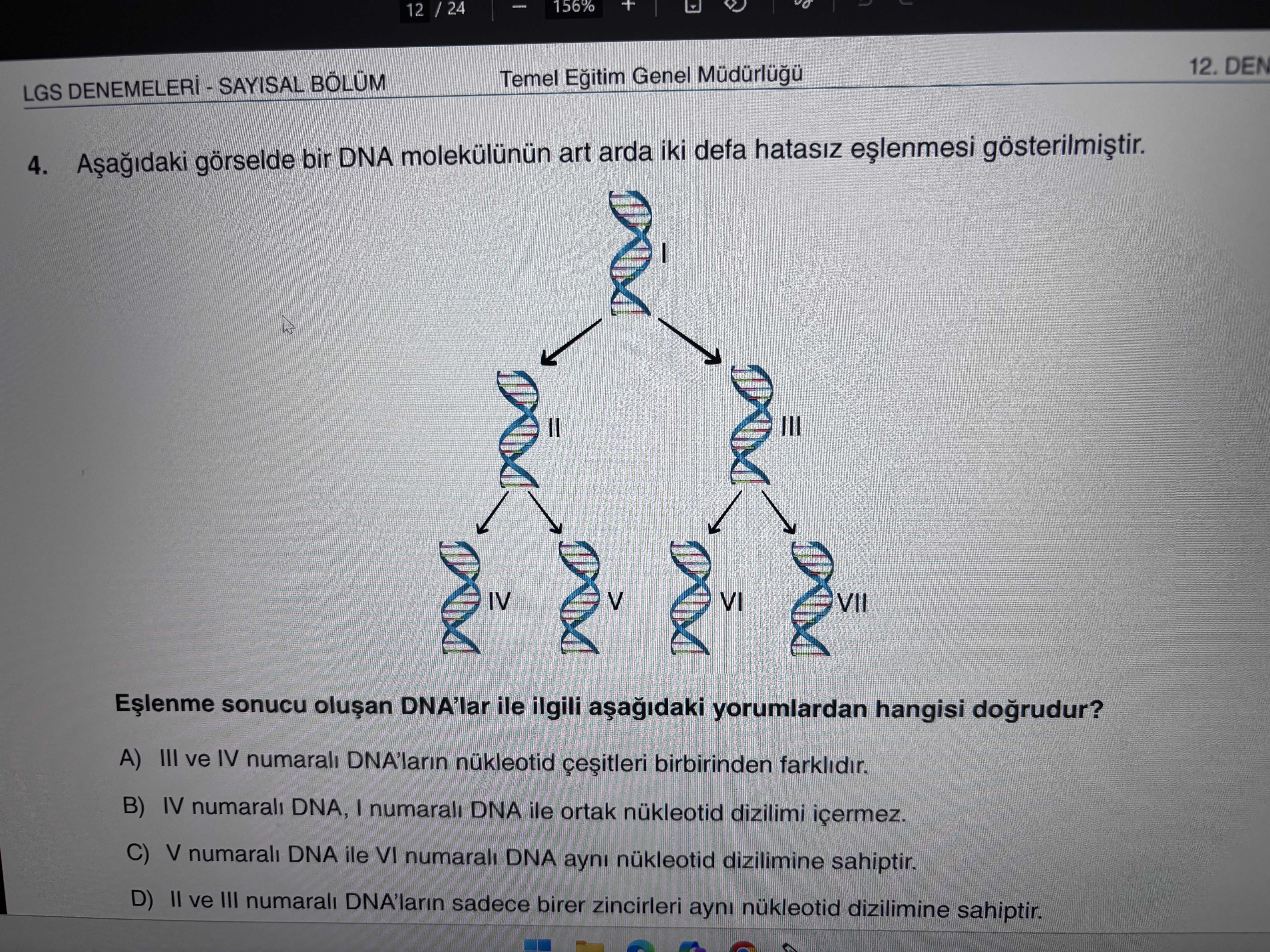 Aşağıdaki görselde bir DNA molekülünün art arda iki defa hatasız eşlenmesi gösterilmiştir. Eşlenme