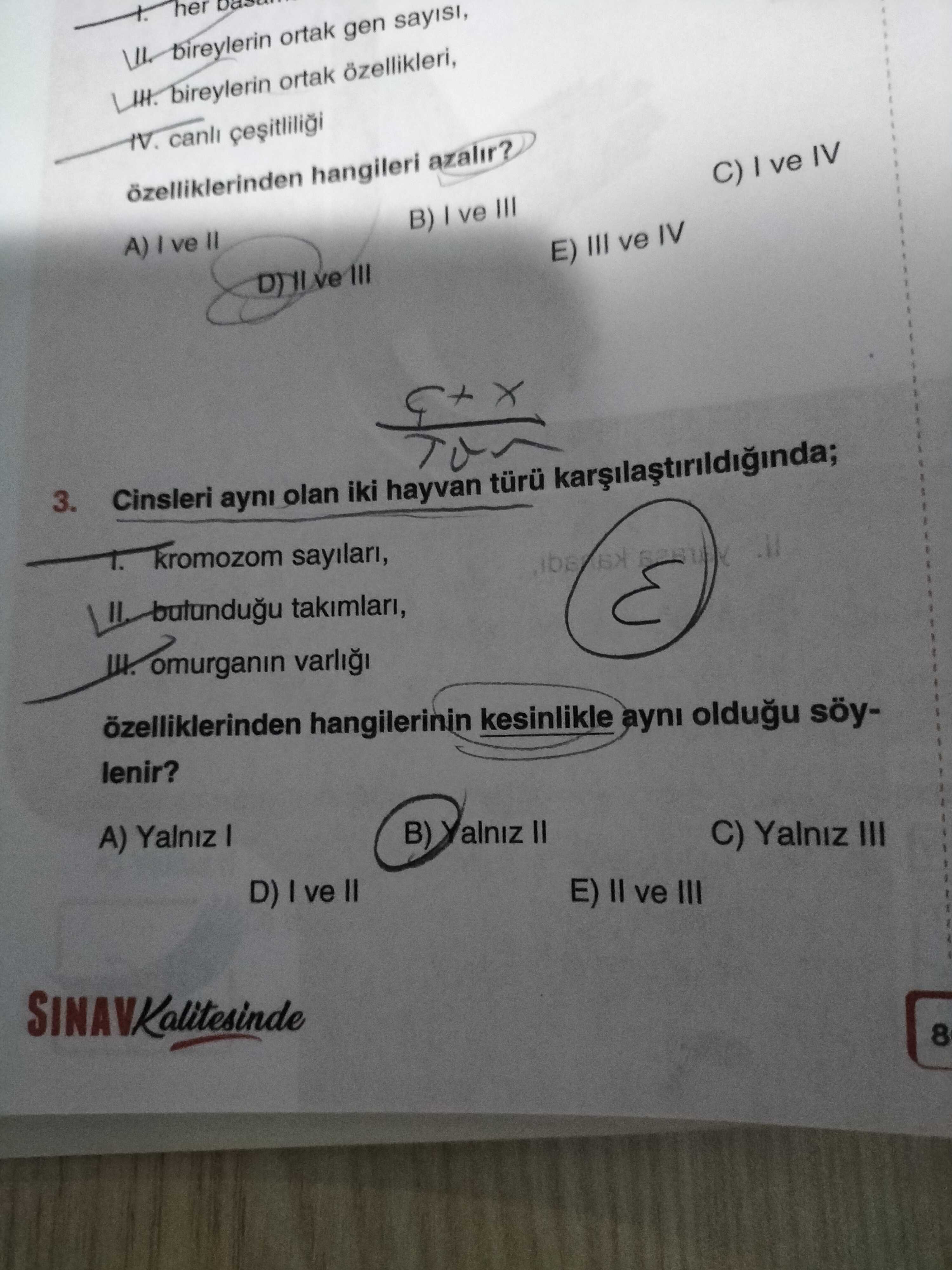 Biyoloji (12. Sınıf)