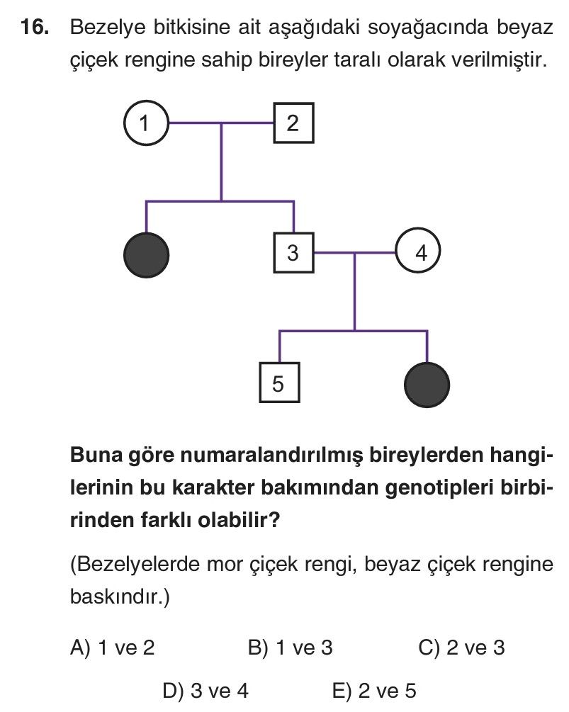 Bezelye bitkisine ait aşağıdaki soyağacında beyaz çiçek rengine sahip bireyler taralı olarak