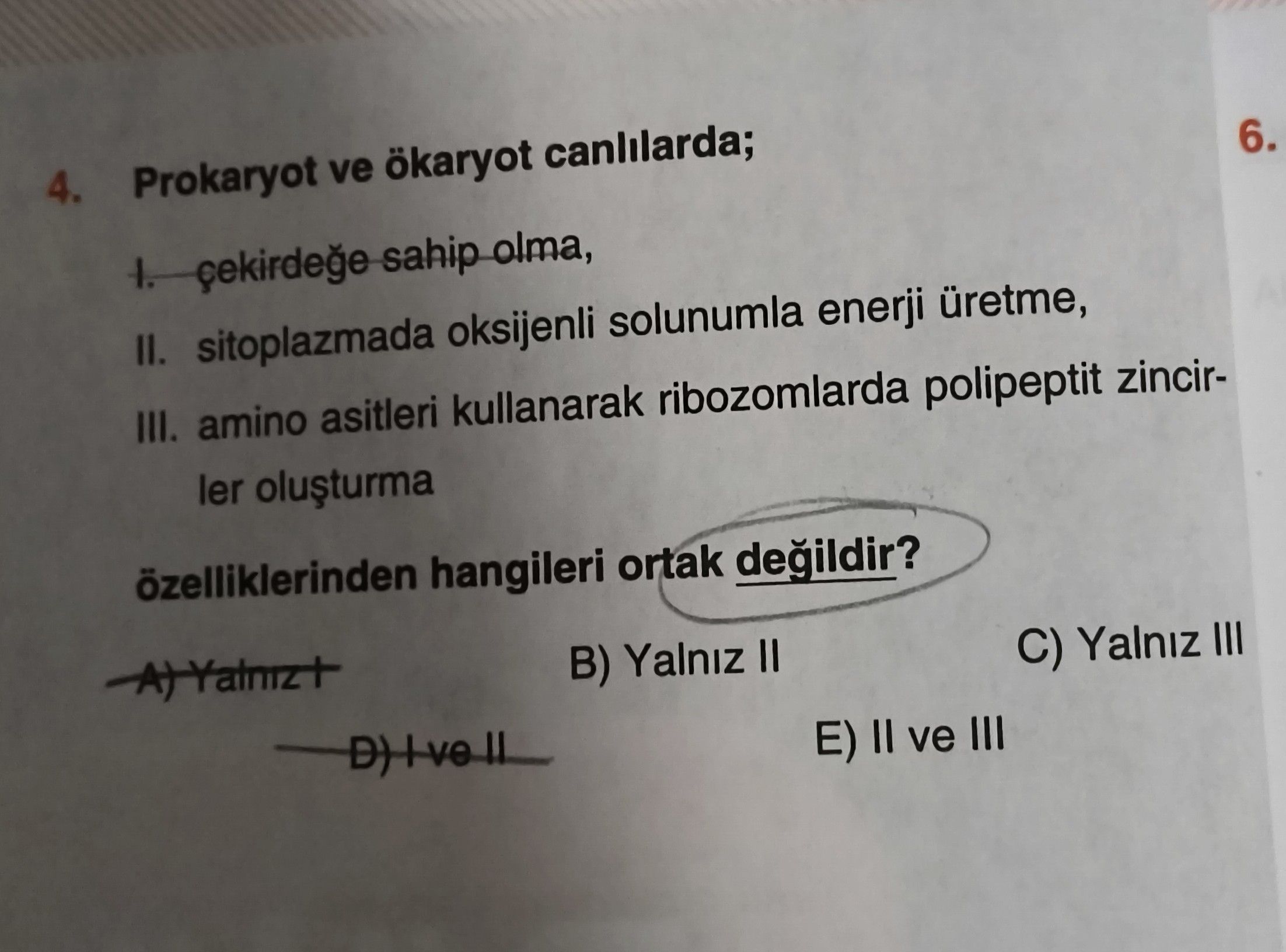 Biyoloji (11. Sınıf)