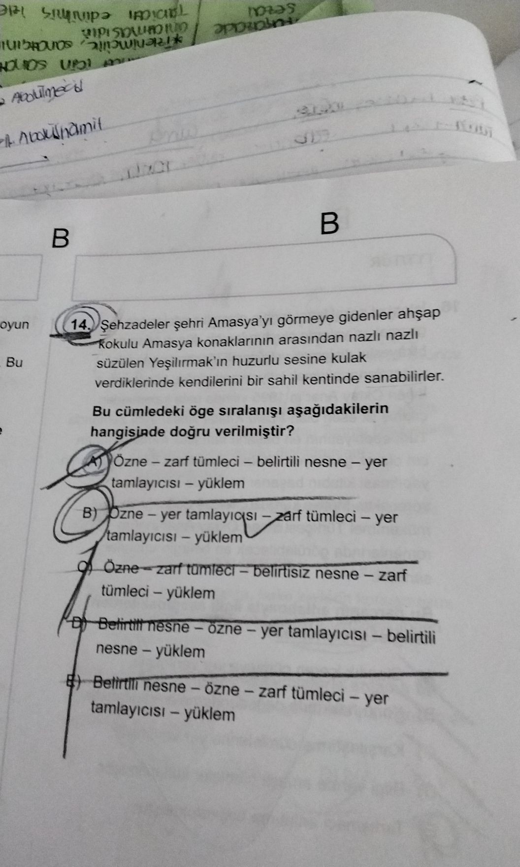 Şehzadeler şehri Amasya'yı görmeye gidenler ahşap kokulu Amasya konaklarının arasından nazlı nazlı