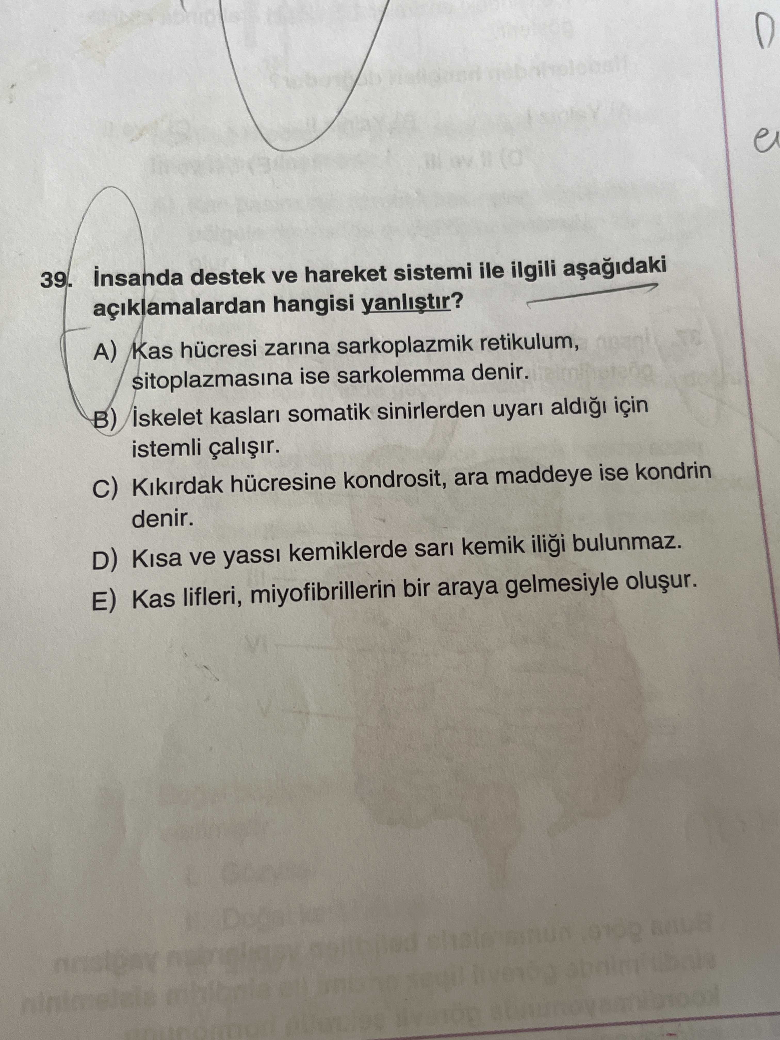İnsanda destek ve hareket sistemi ile ilgili aşağıdaki açıklamalardan hangisi yanlıştır?