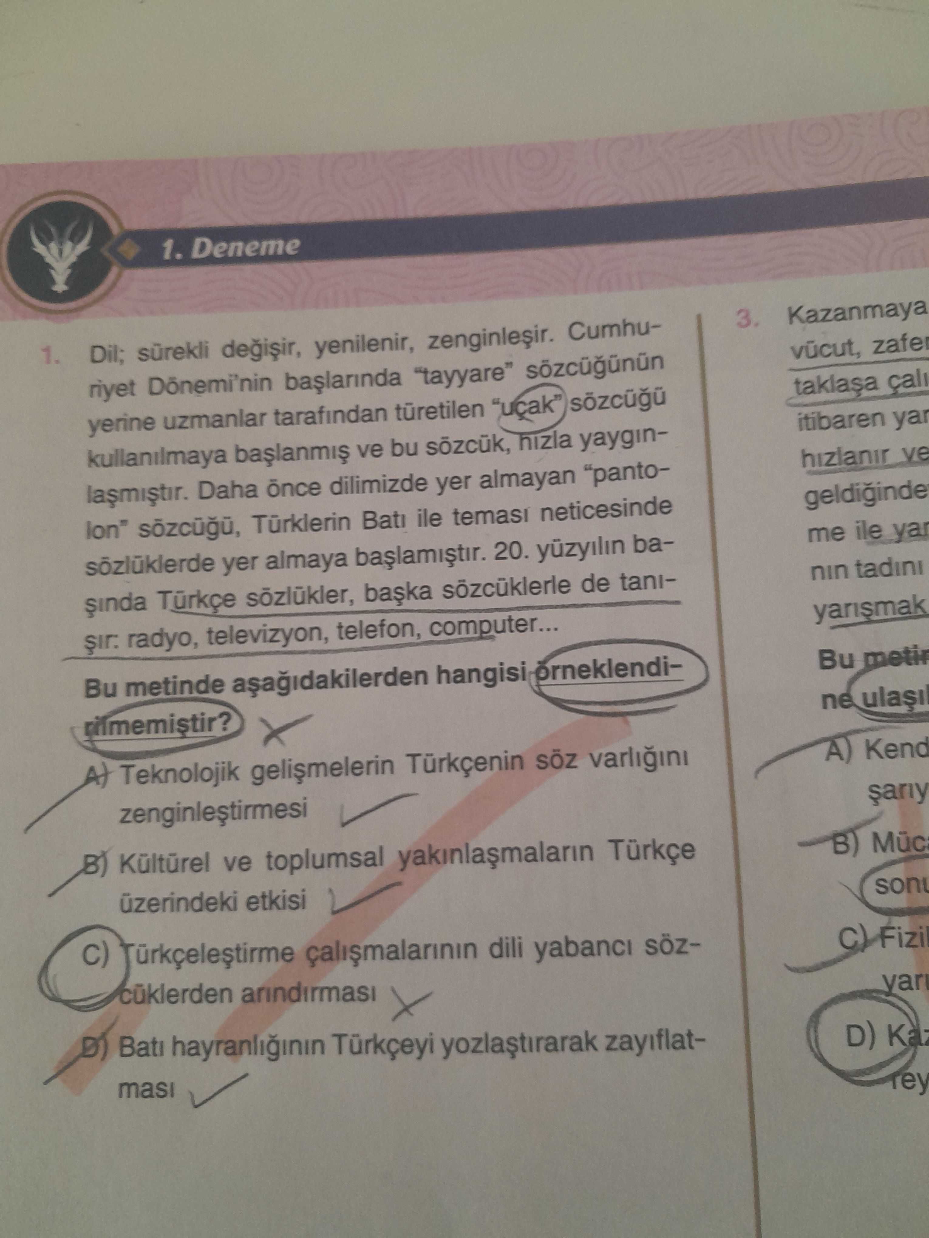Dil; sürekli değişir, yenilenir, zenginleşir. Cumhuriyet Dönemi'nin başlarında "tayyare" sözcüğünün